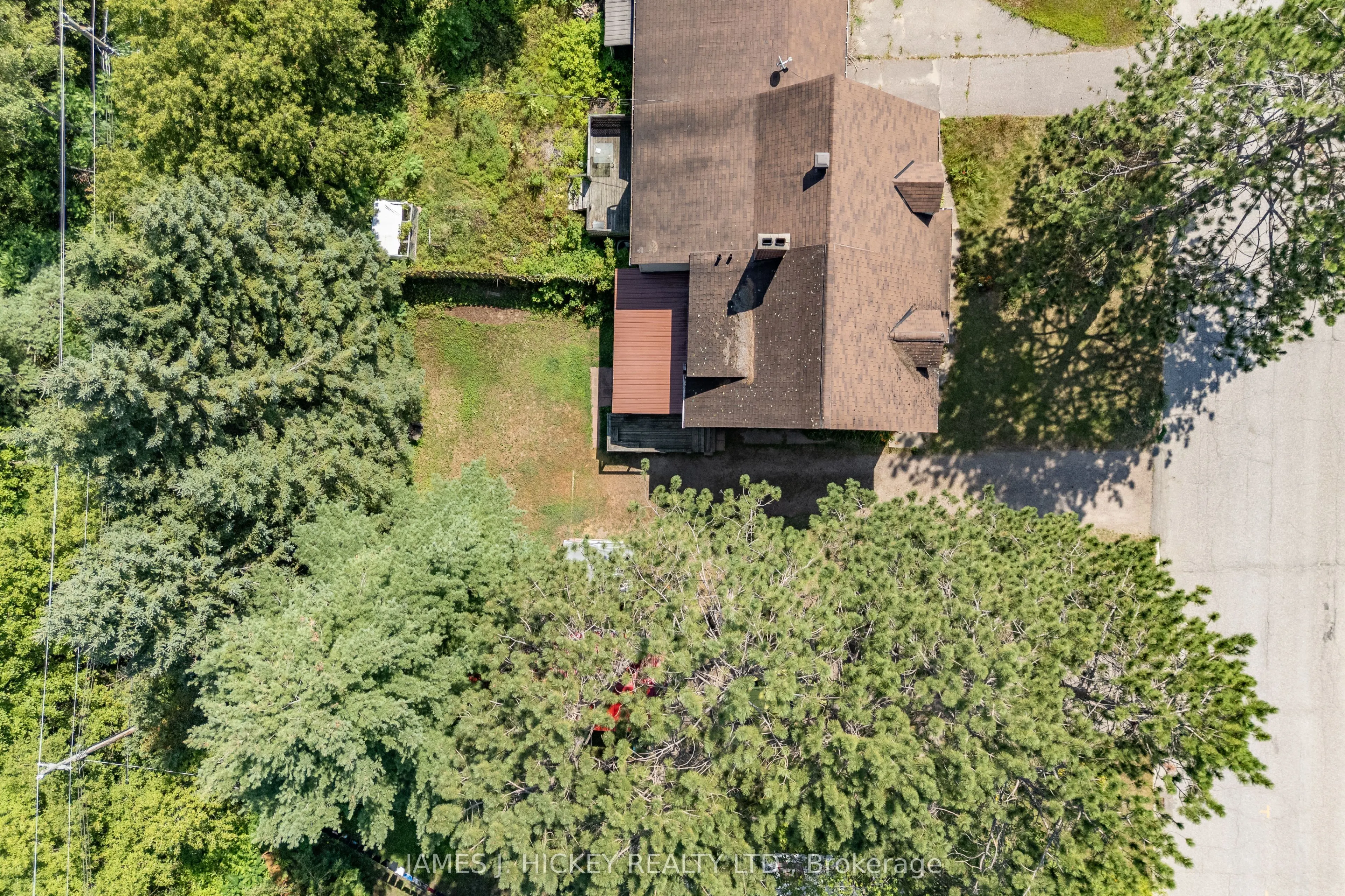 19 Alder Crescent
