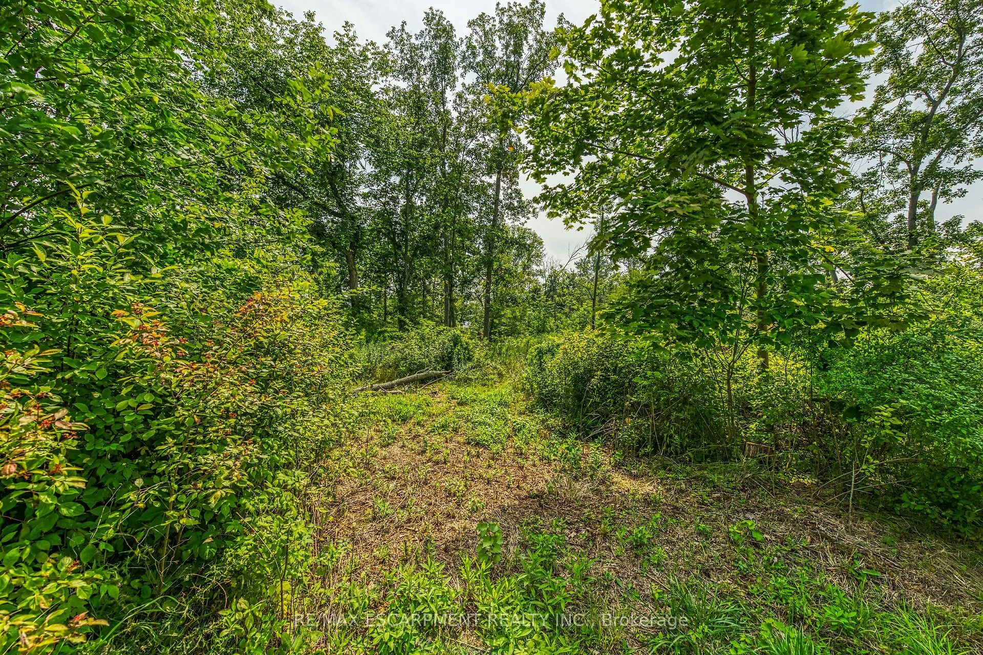 394 Lakeshore Road