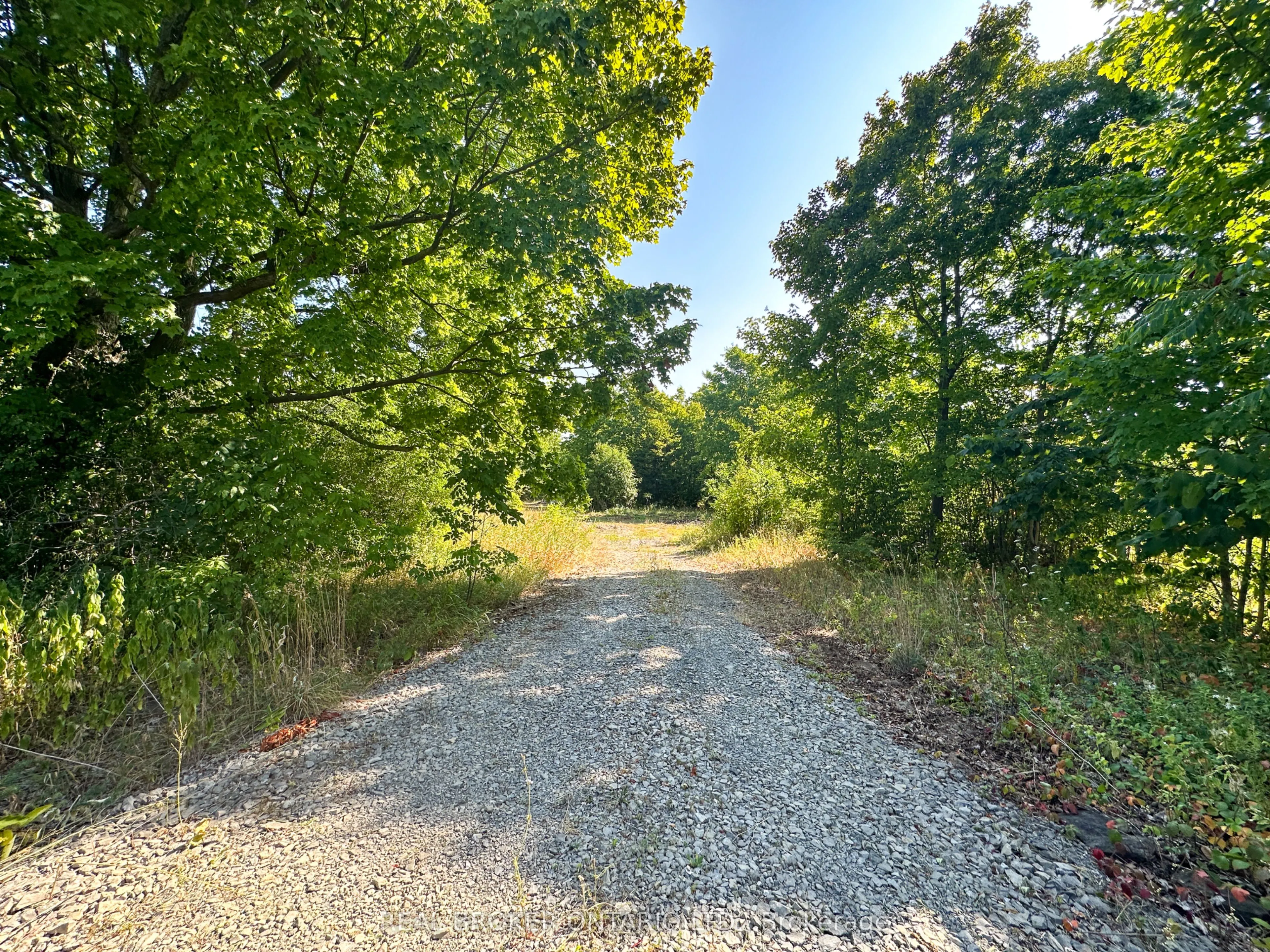 14391 County 15 Road
