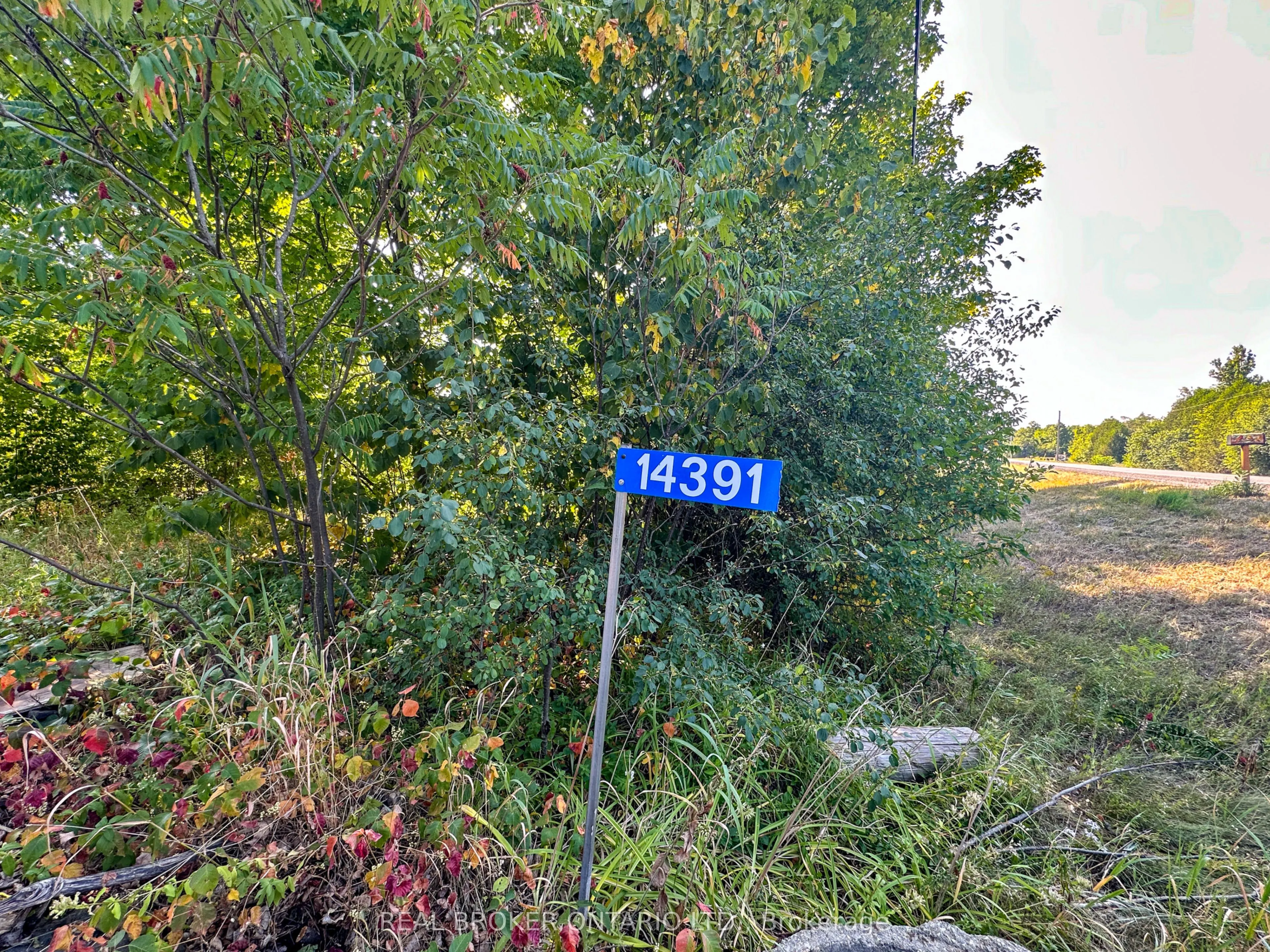 14391 County 15 Road
