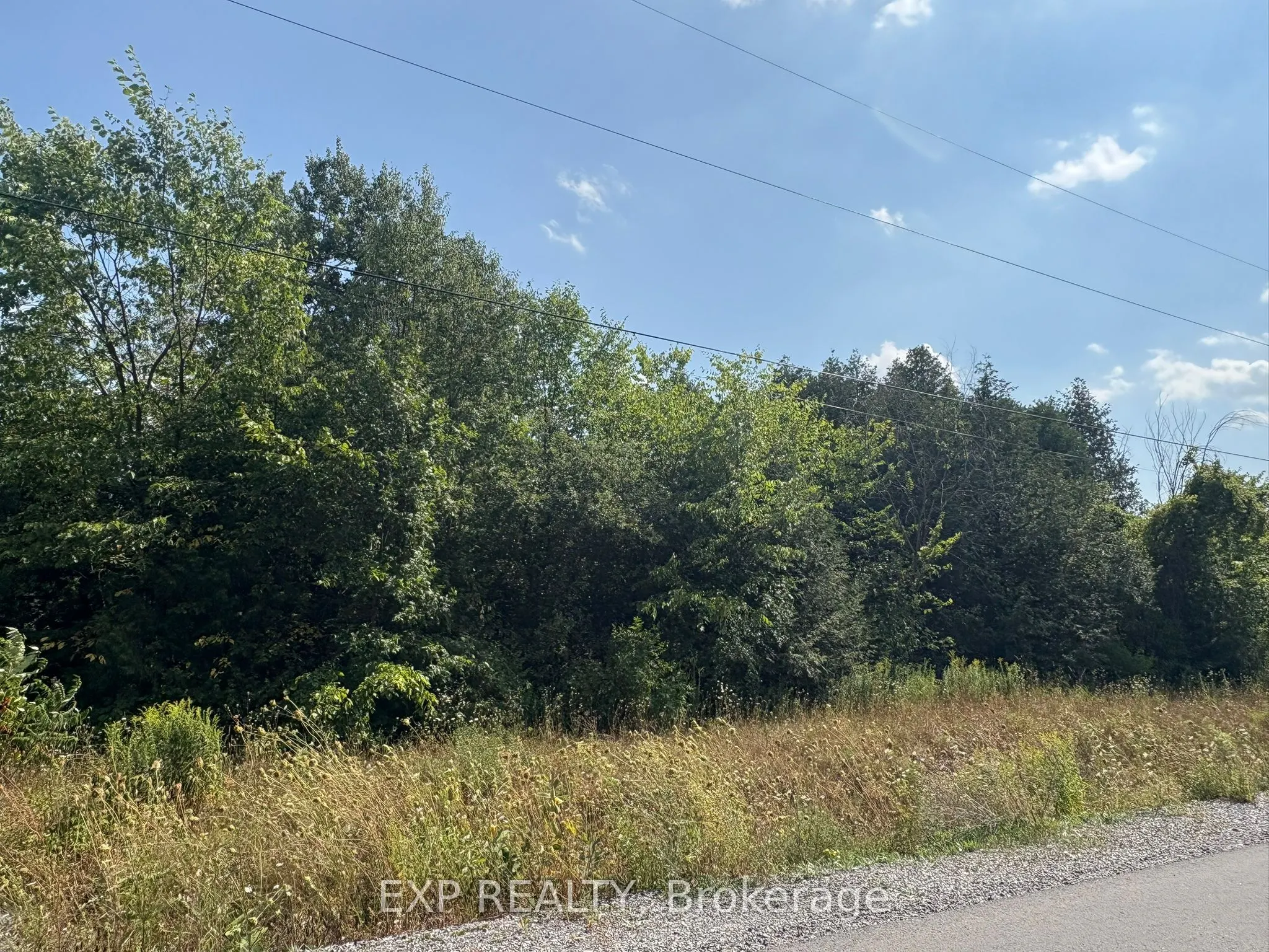 6248 Nick Adams Road