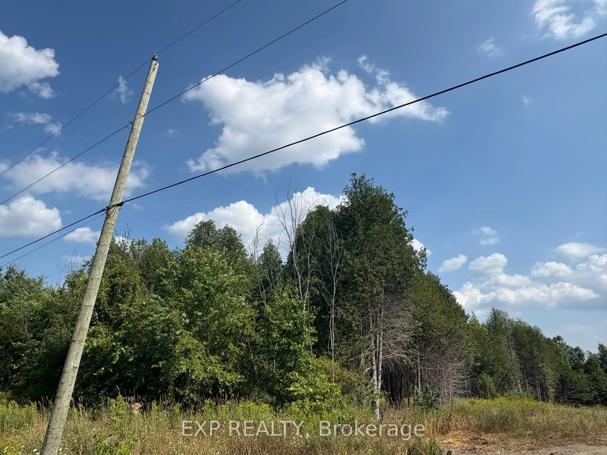 6248 Nick Adams Road