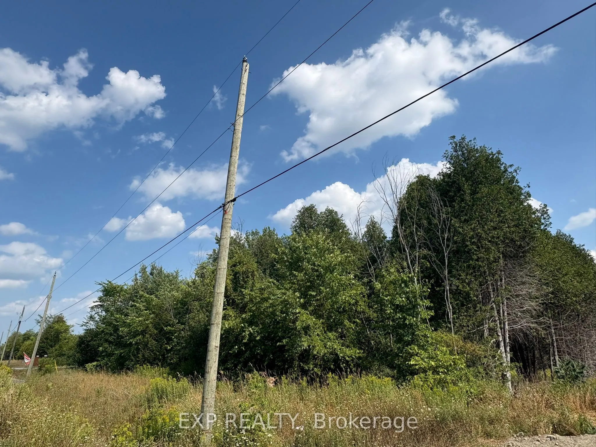 6248 Nick Adams Road