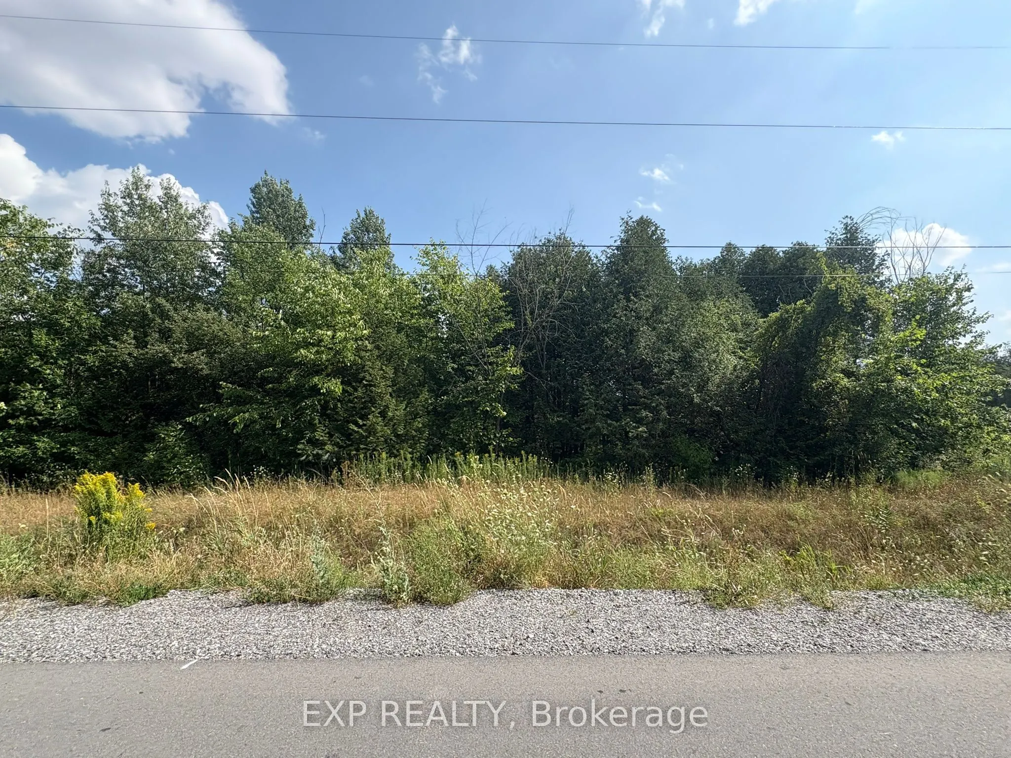 6248 Nick Adams Road