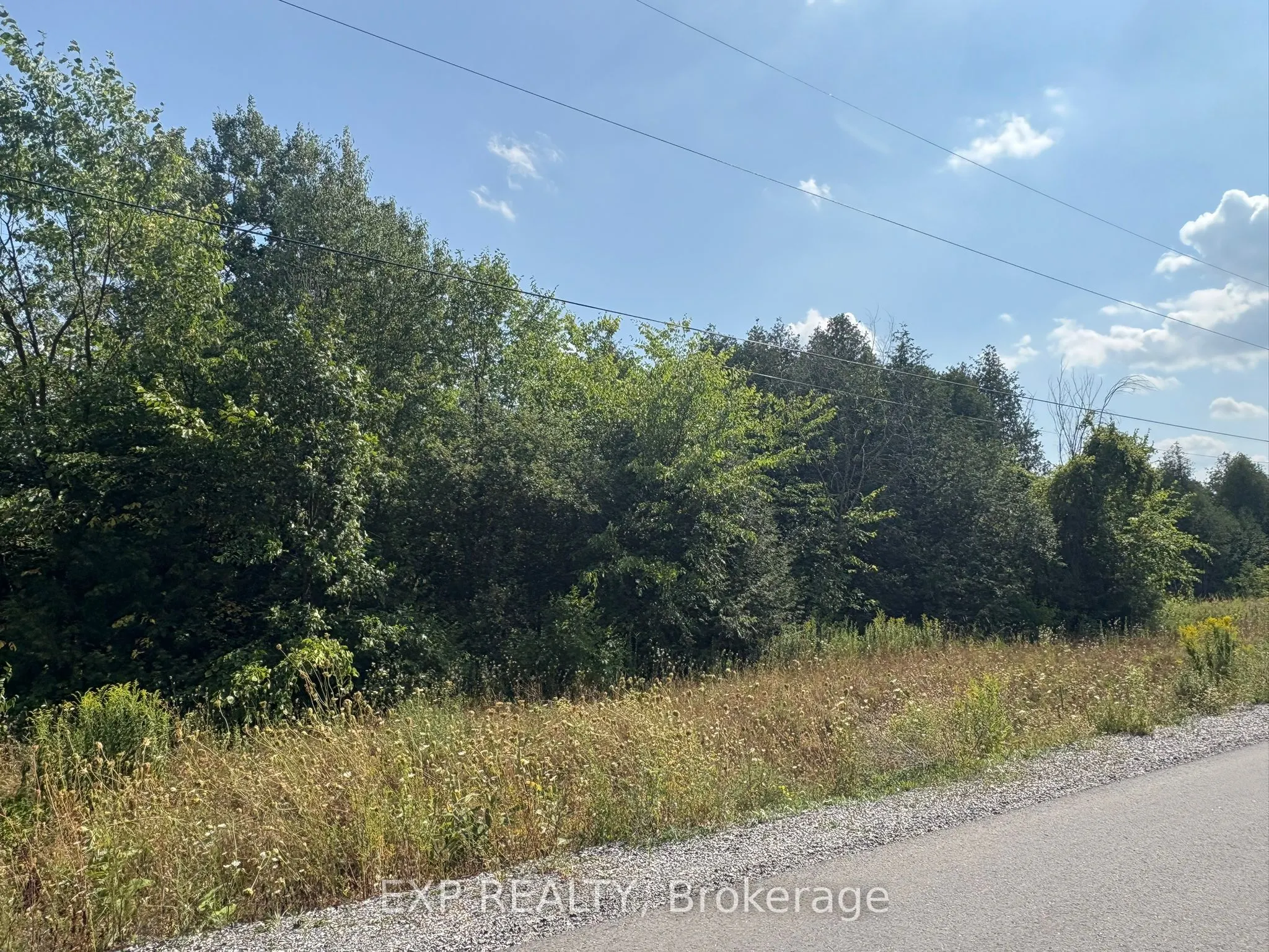 6248 Nick Adams Road