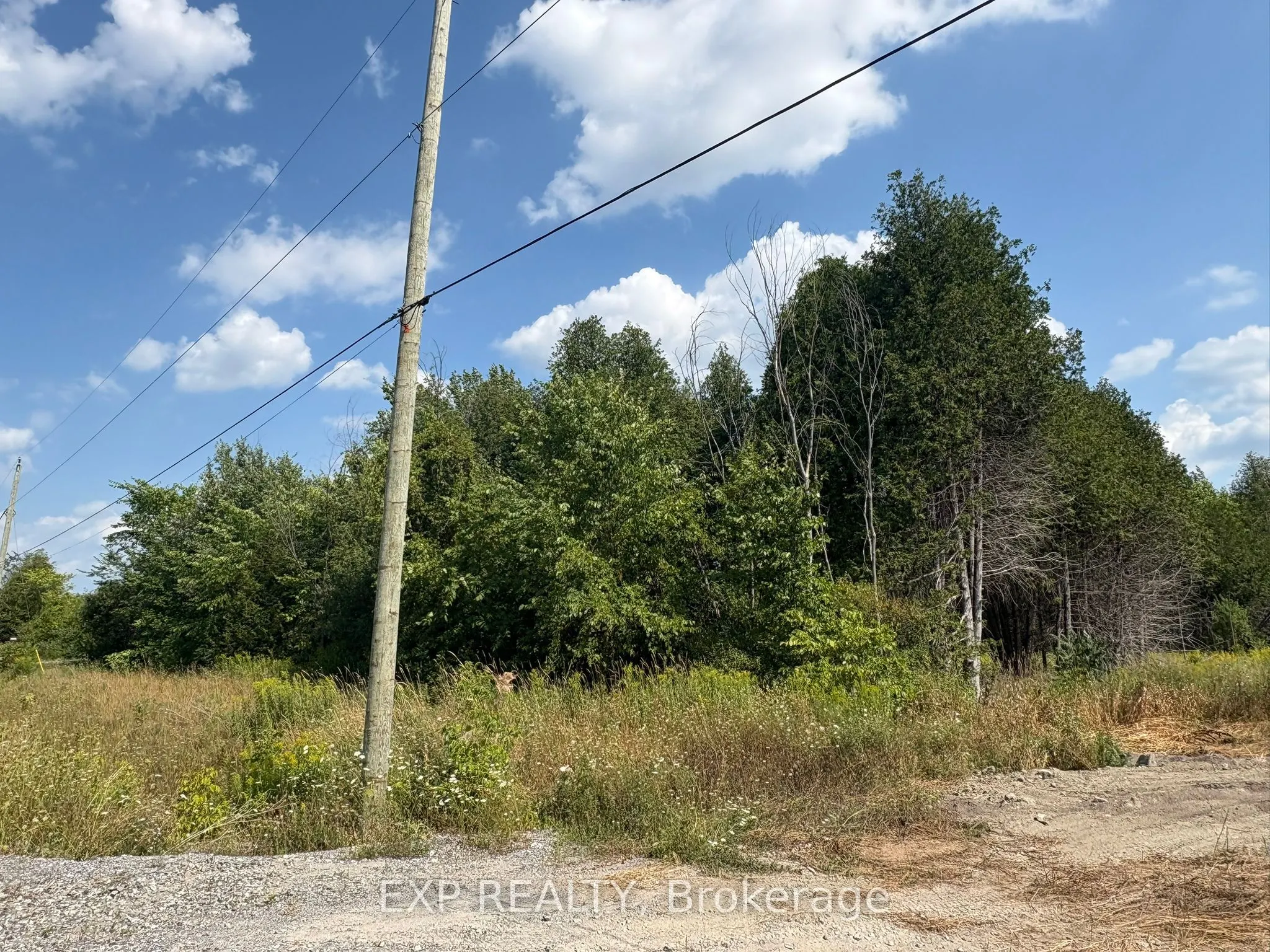 6248 Nick Adams Road