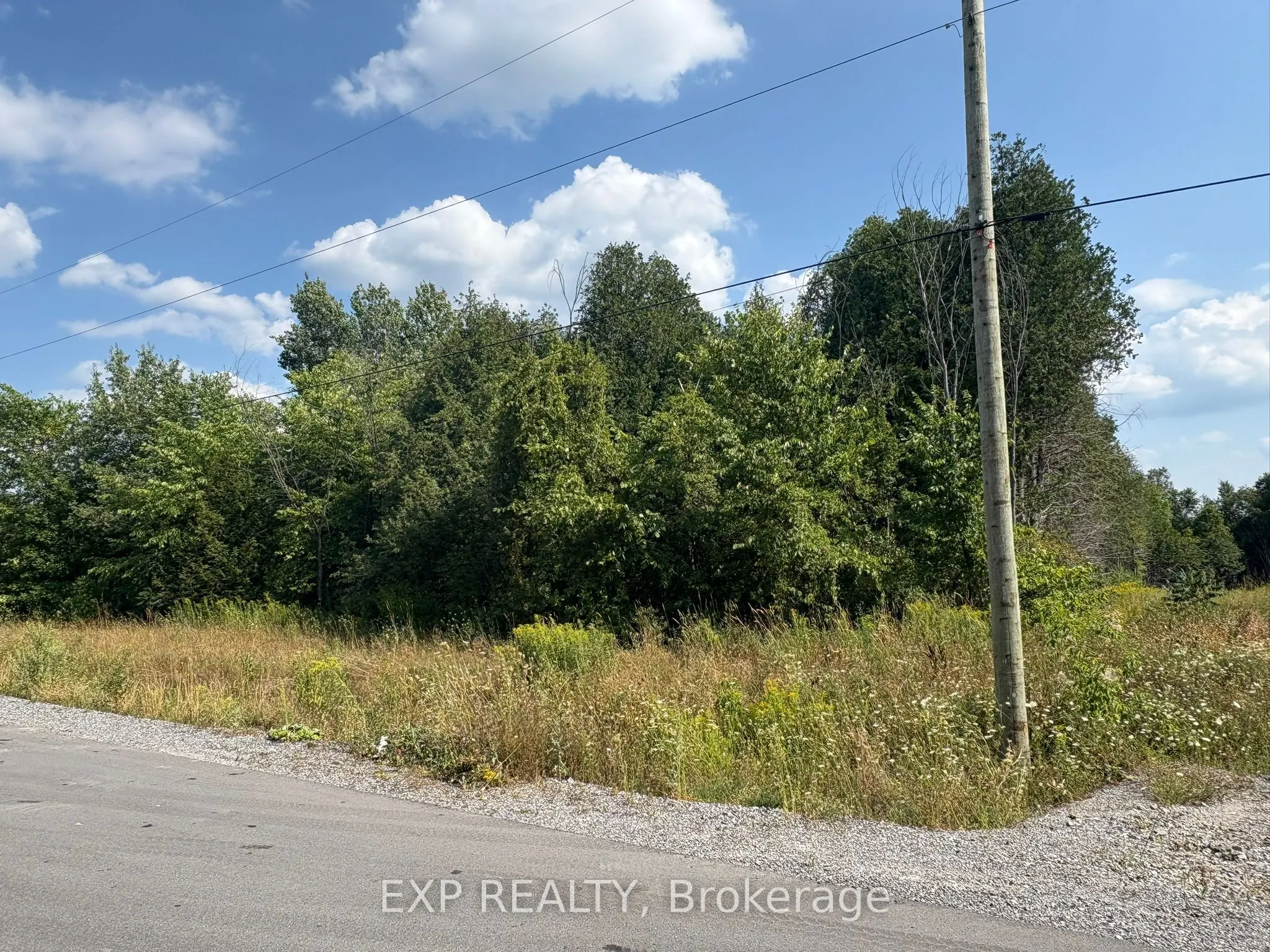 6248 Nick Adams Road