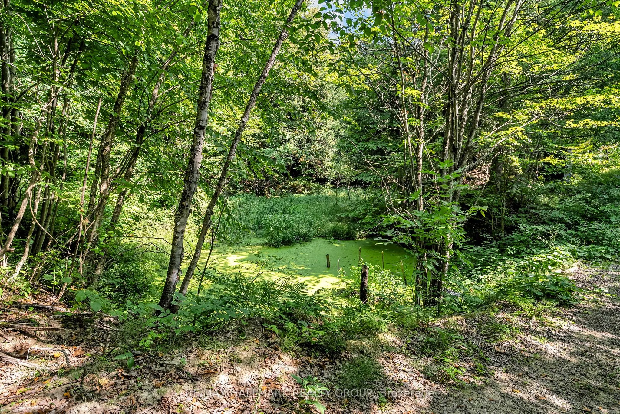 656 Ch Station Road