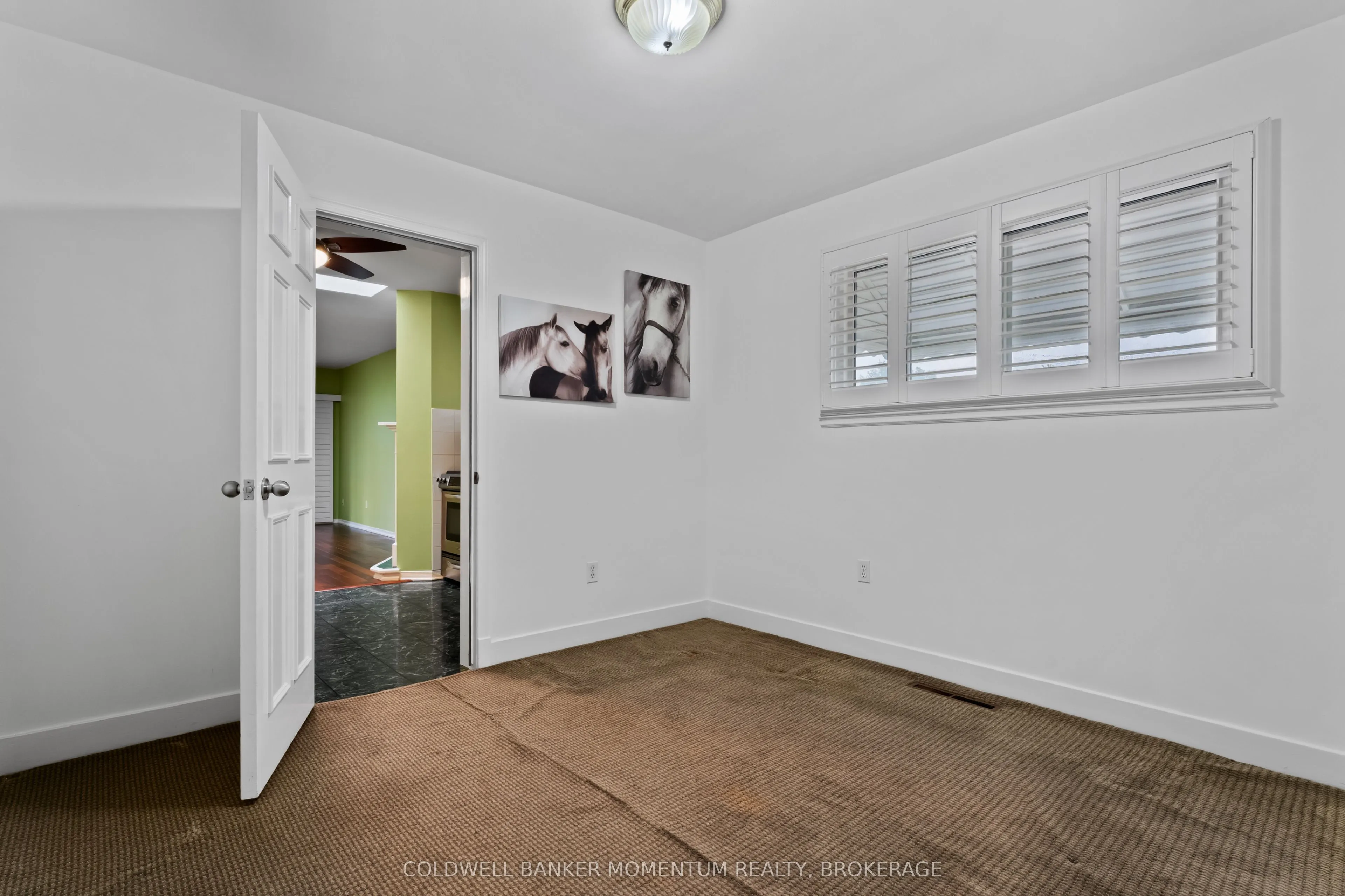 48 Mcdonald Avenue