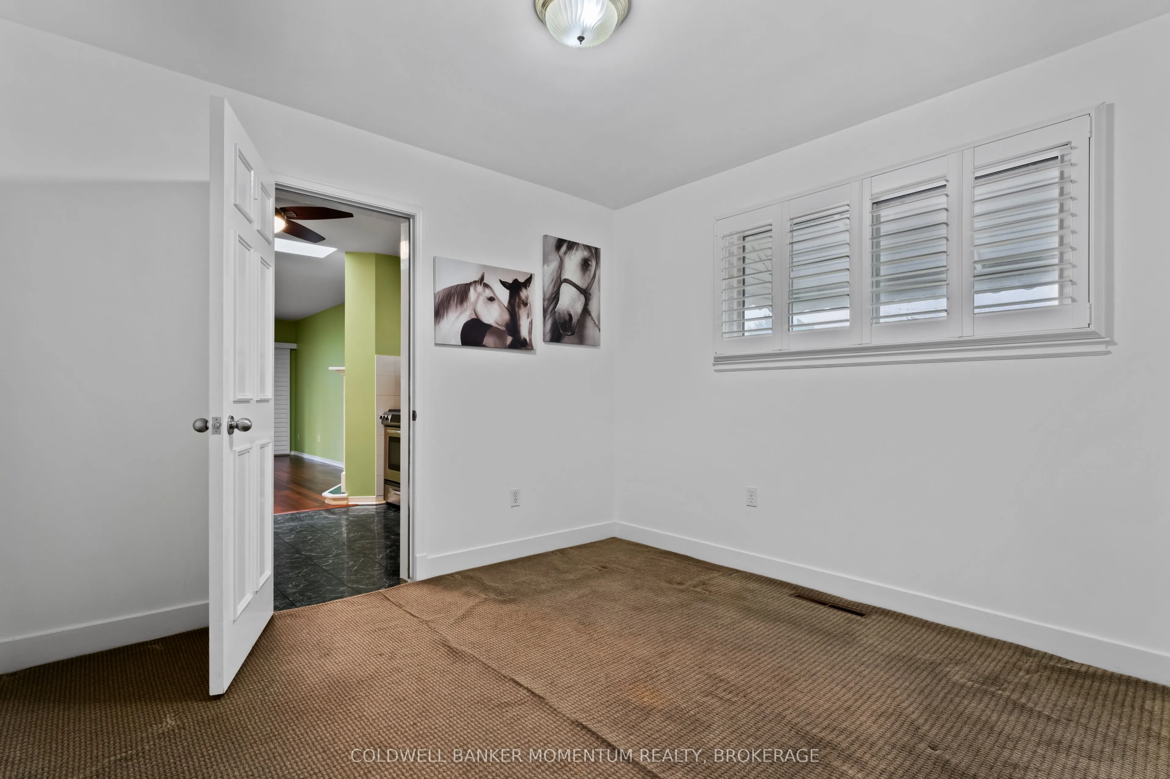 48 Mcdonald Avenue