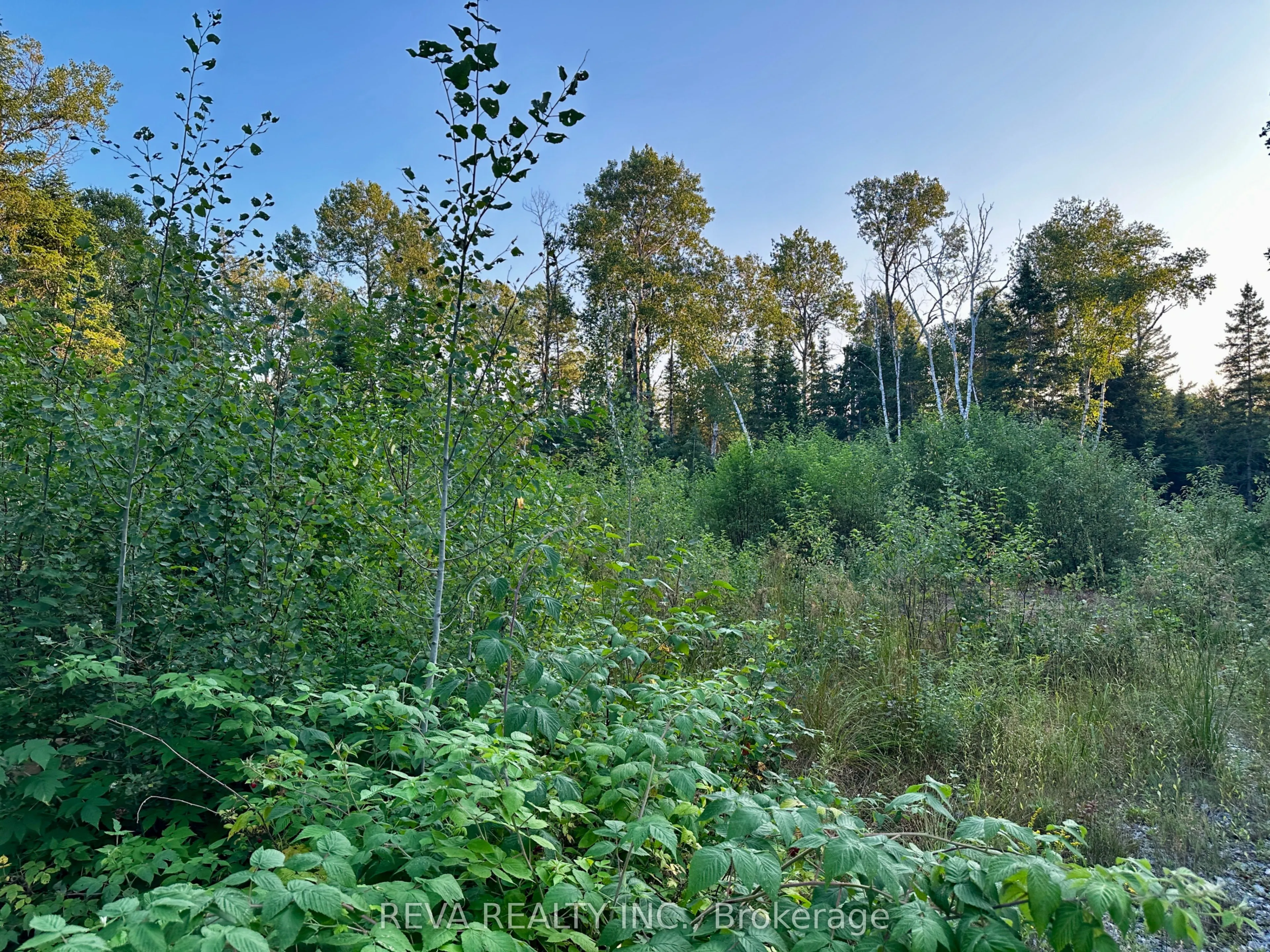 1647 & 1654 Mackenzie Lake Road