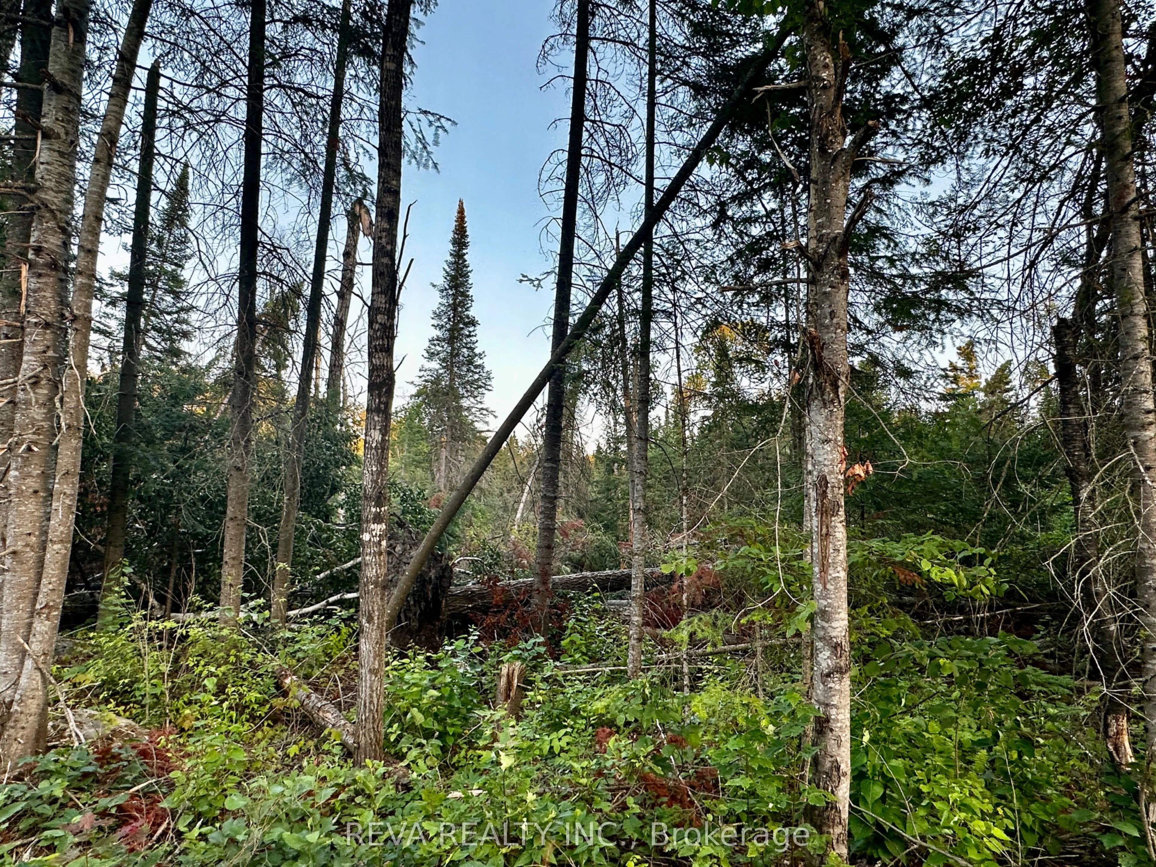 1647 & 1654 Mackenzie Lake Road