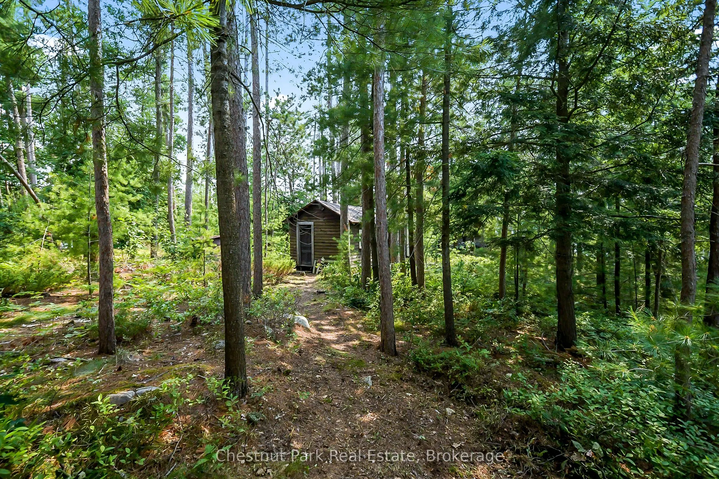 1000 Little Baxter (AKA Rockwood) Island