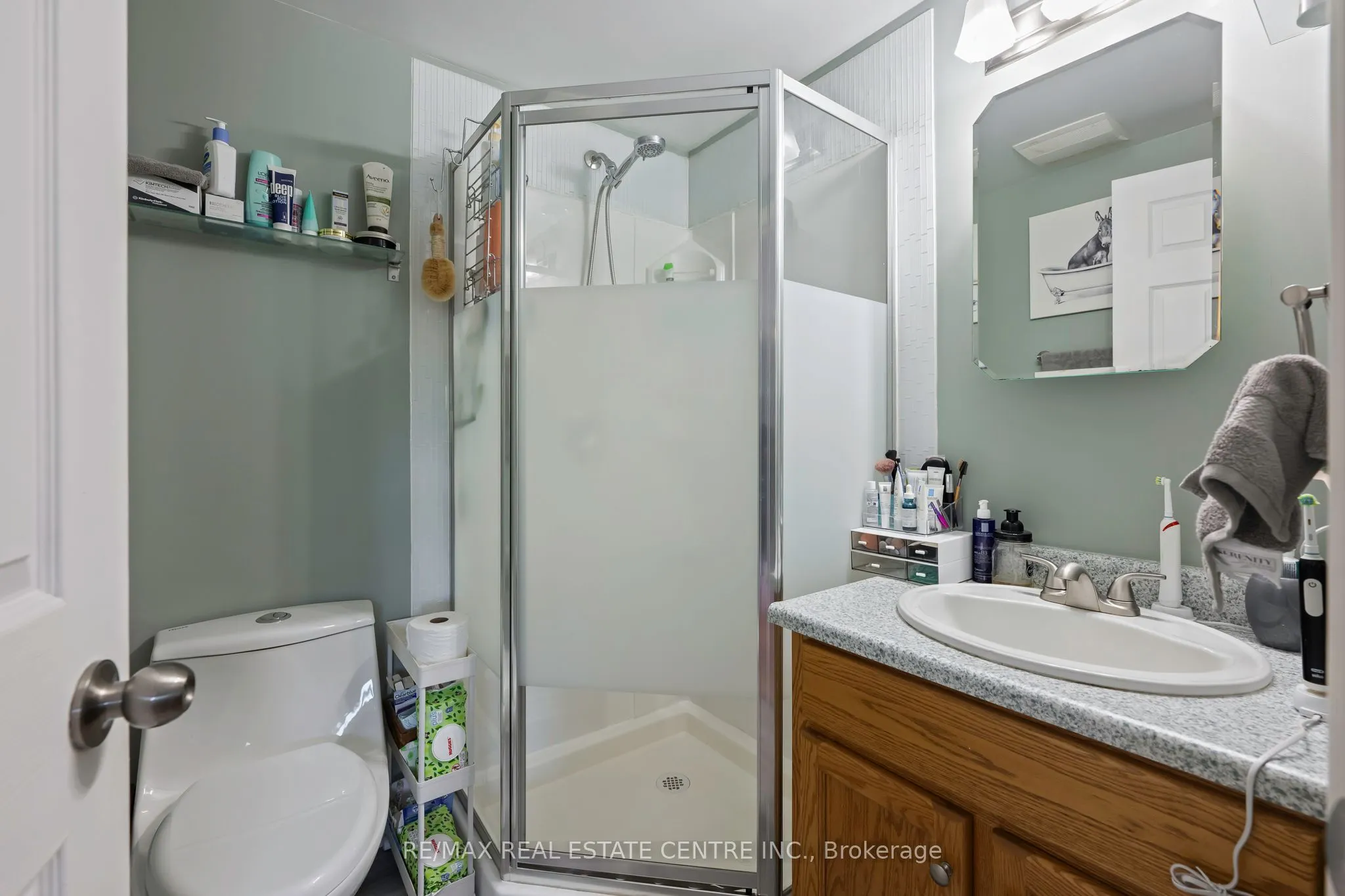 316 Olde Village Court