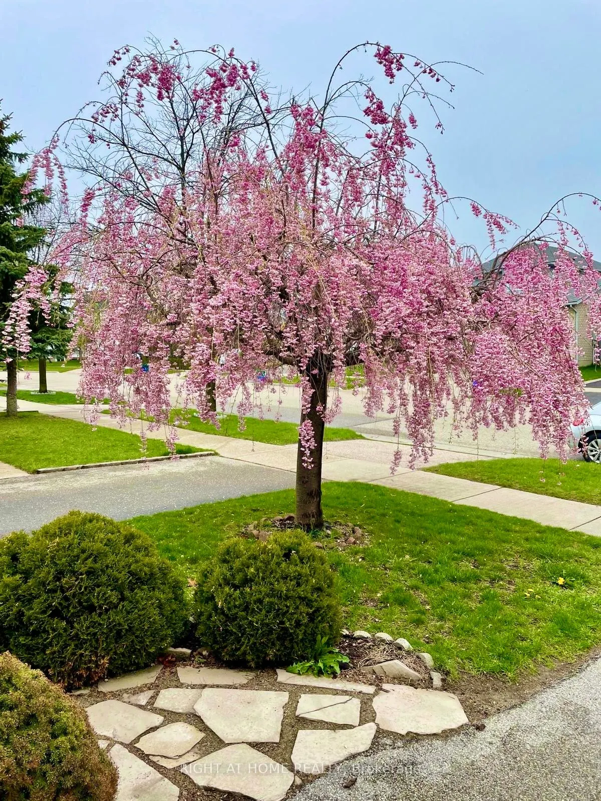 19 Windflower Drive