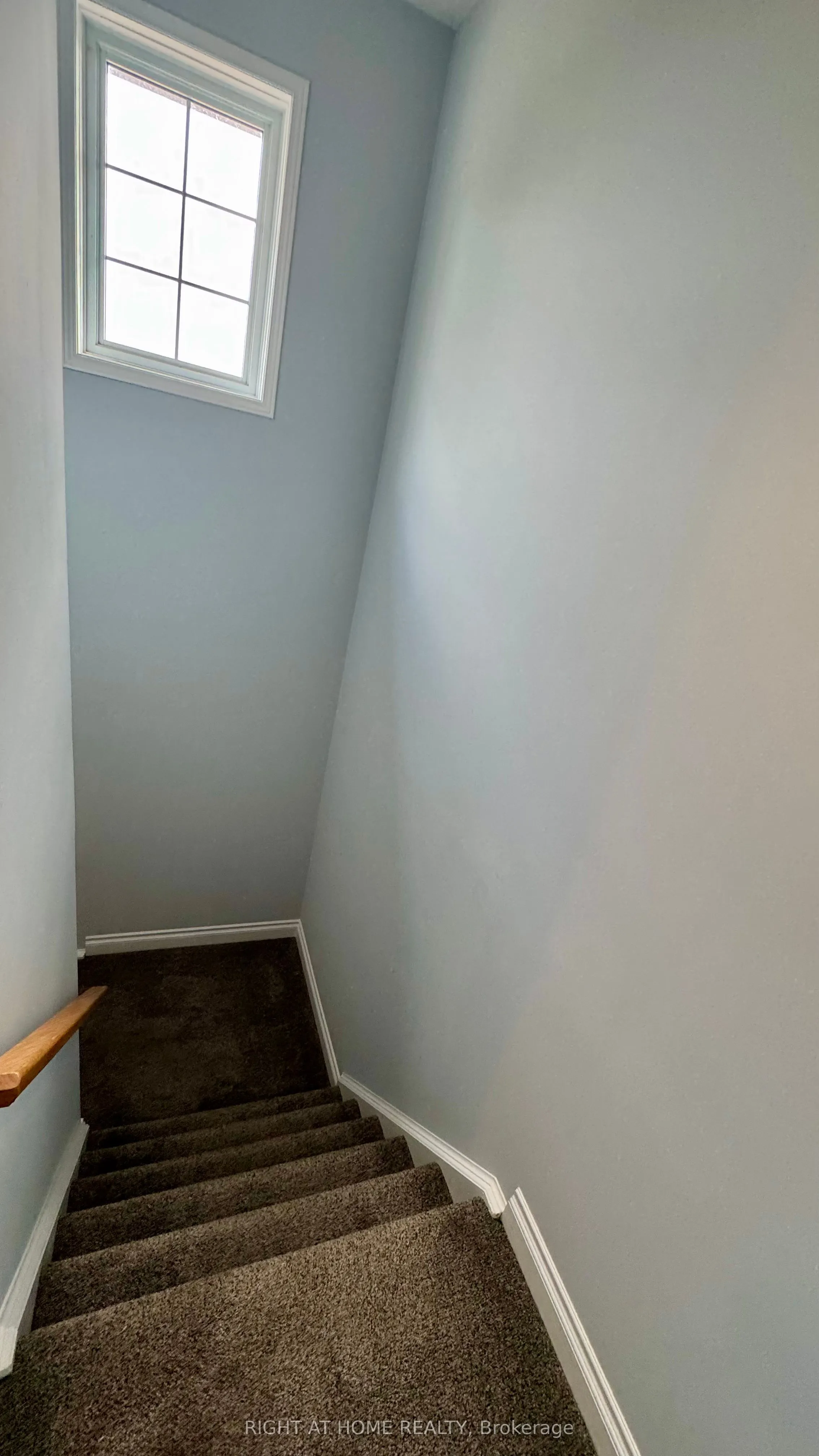 19 Windflower Drive