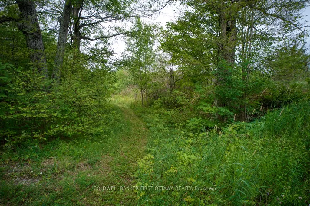 16 Grey Owl Road