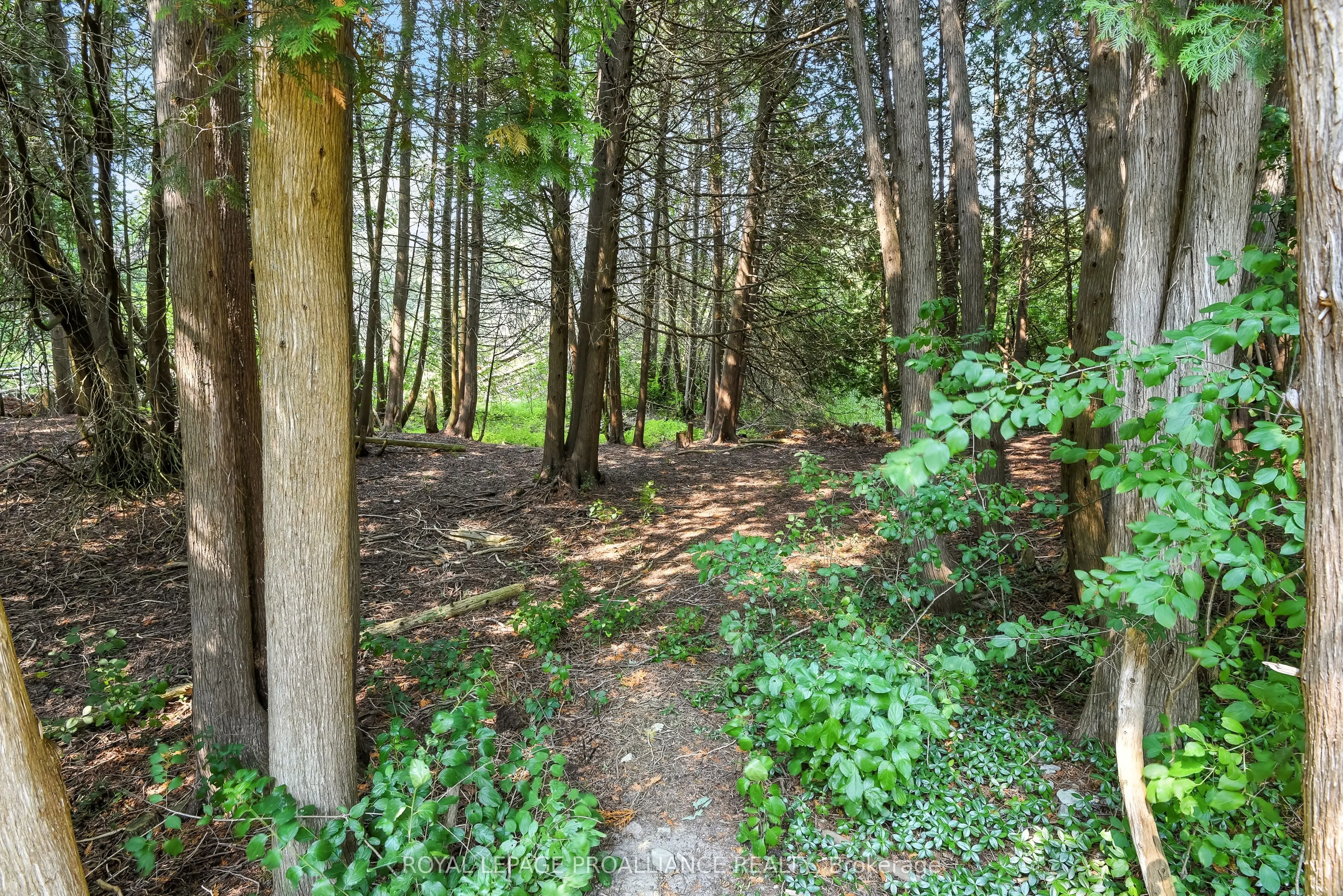 11 Mill Pond Court