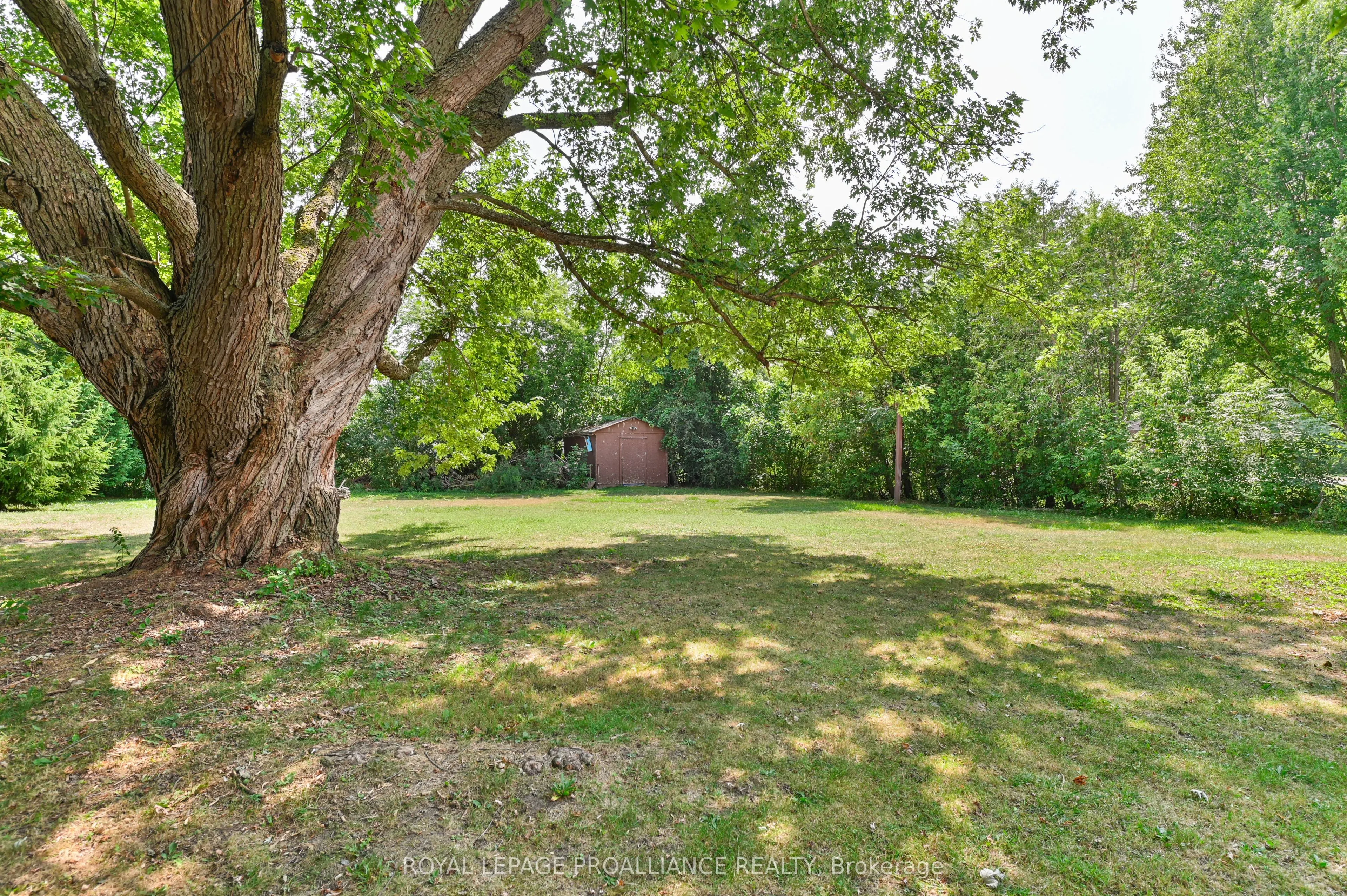 1239 Frankford Road