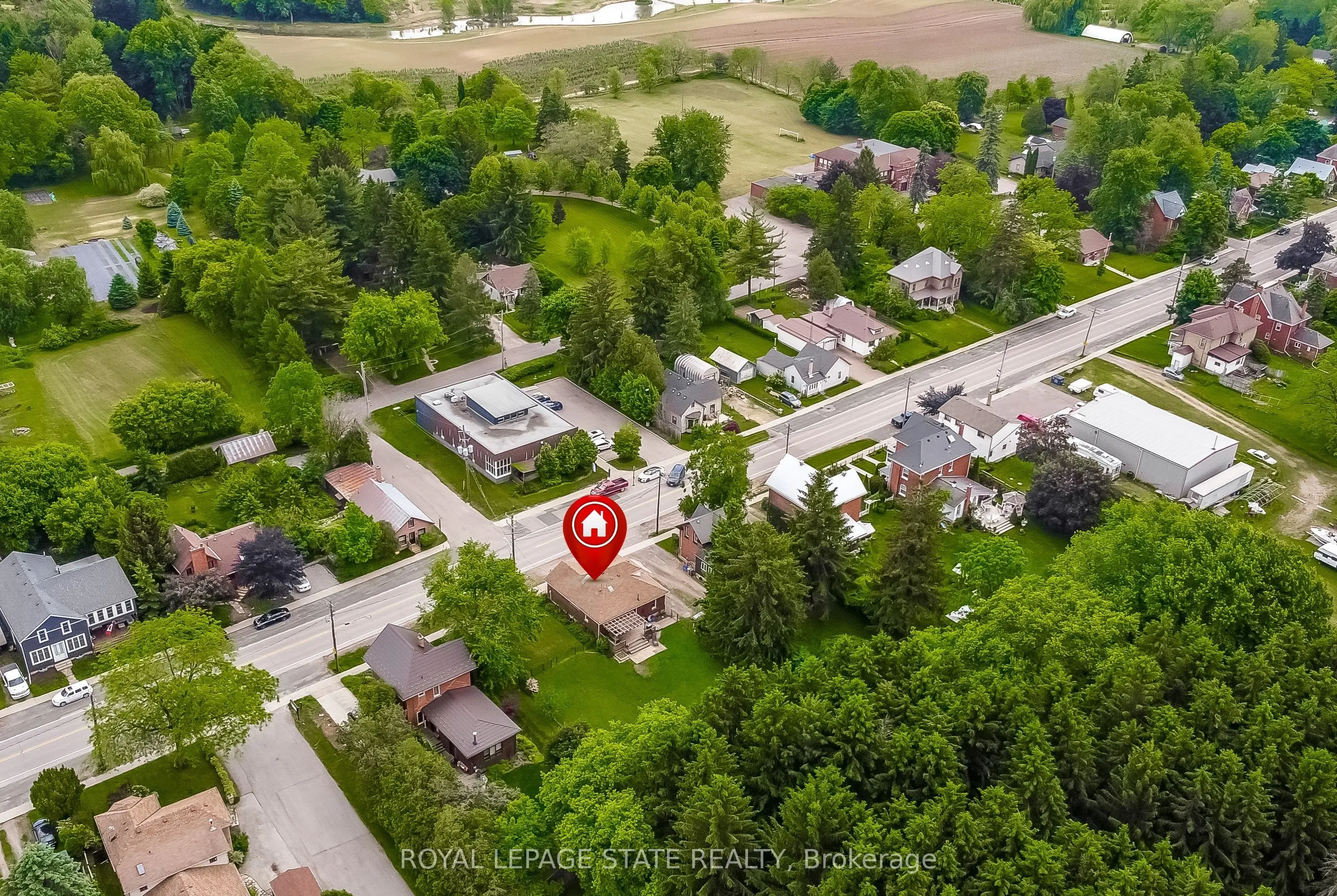 113 Lynden Road