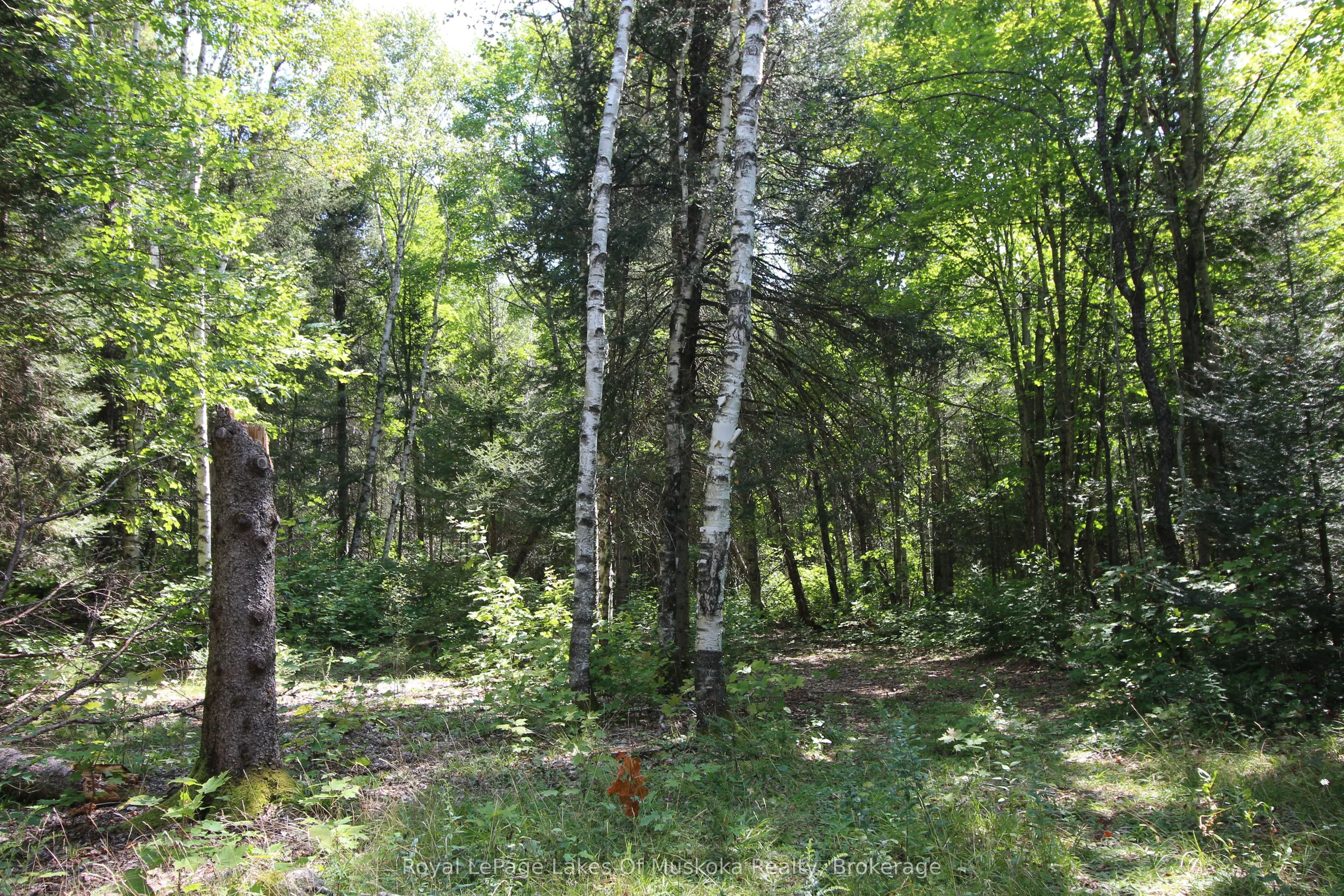 555 Valley View Road