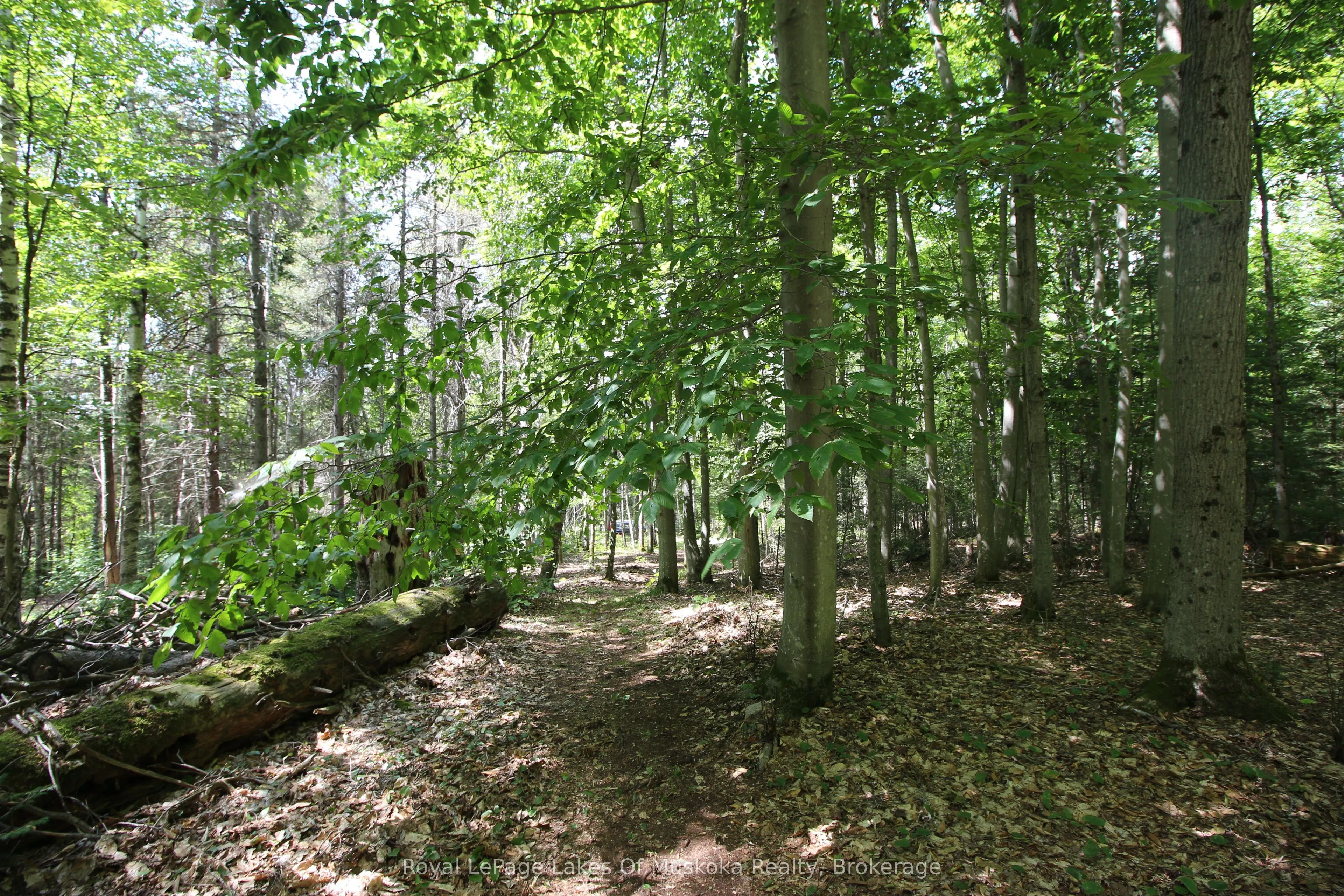 555 Valley View Road