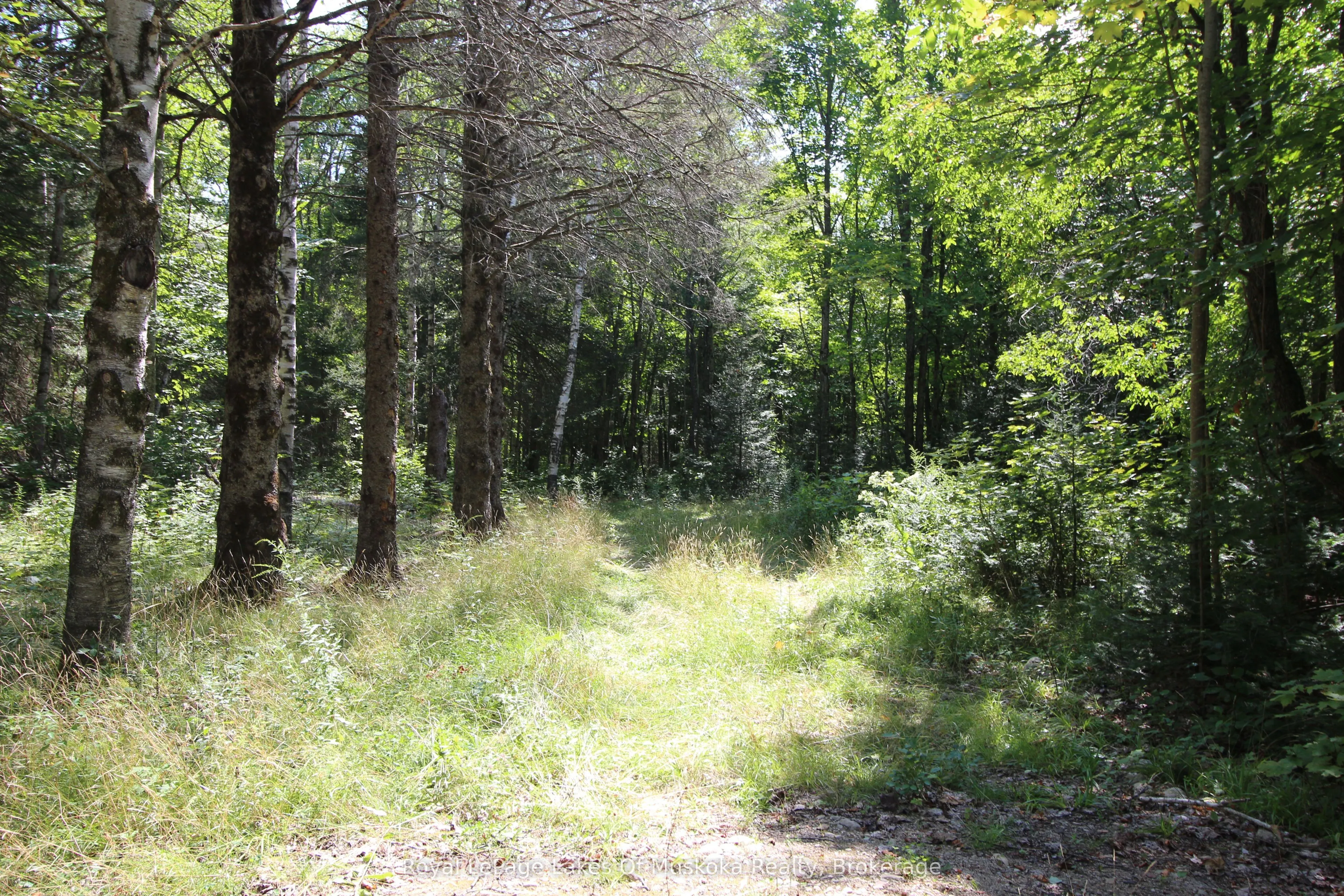 555 Valley View Road