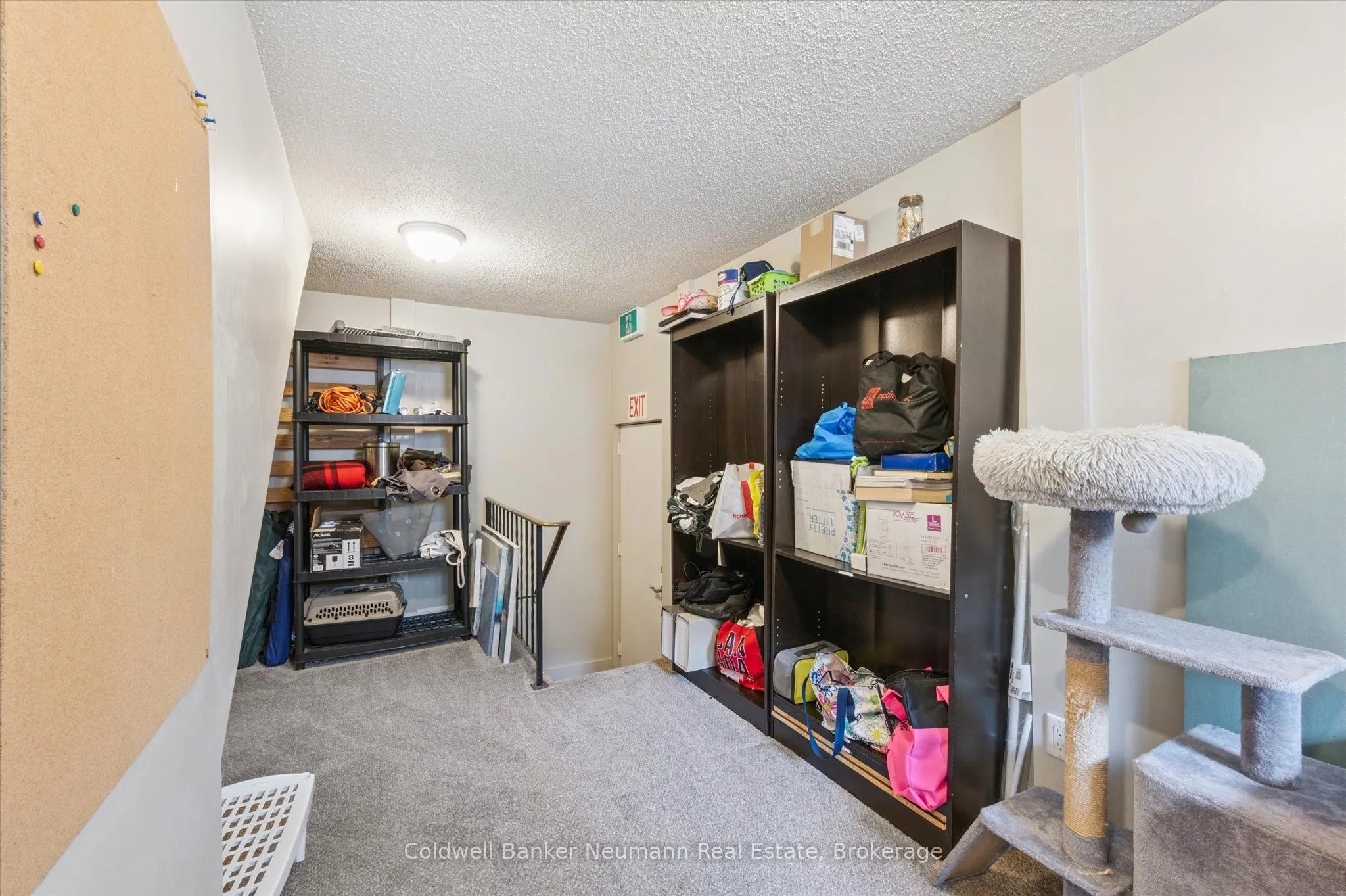 453 Albert Street, #14