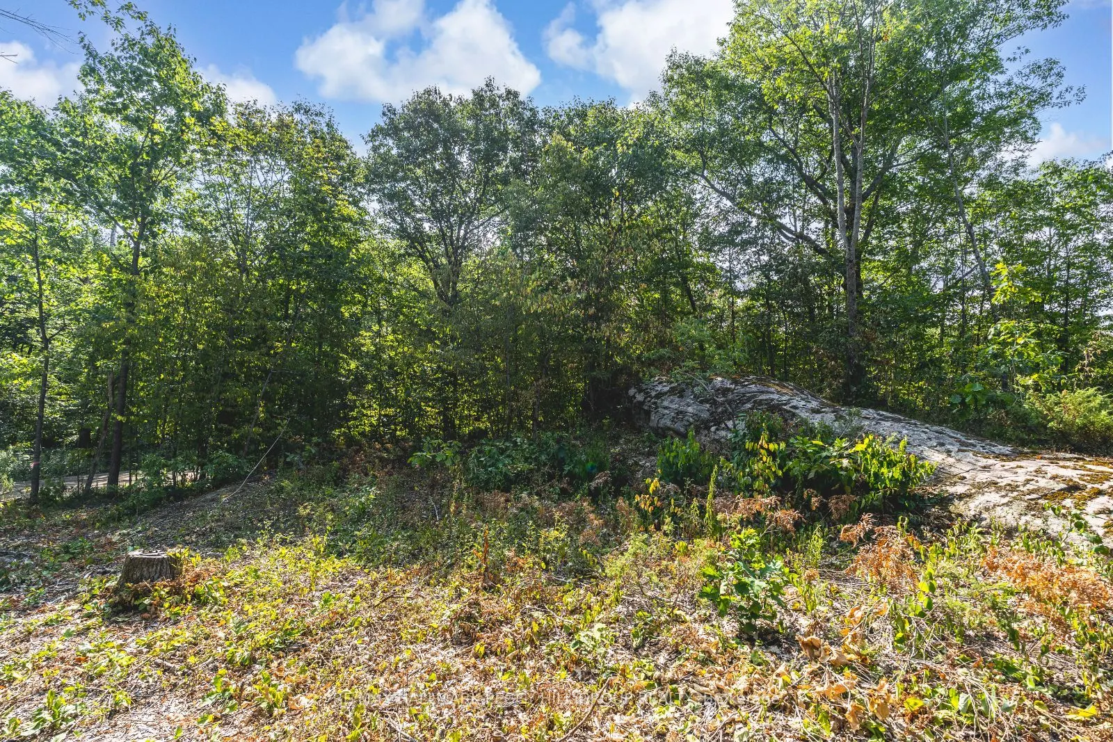 87 Lot A Corrievale Road