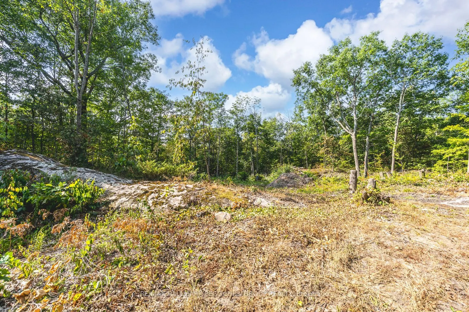 87 Lot A Corrievale Road