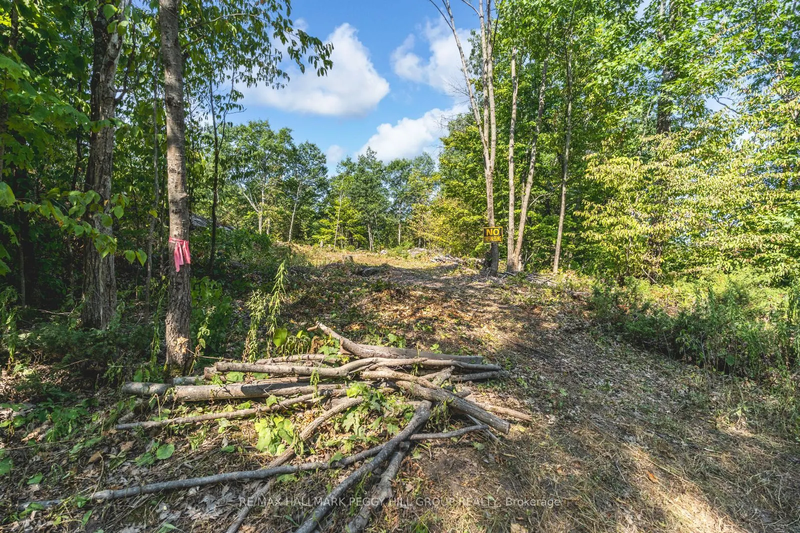 87 Lot A Corrievale Road