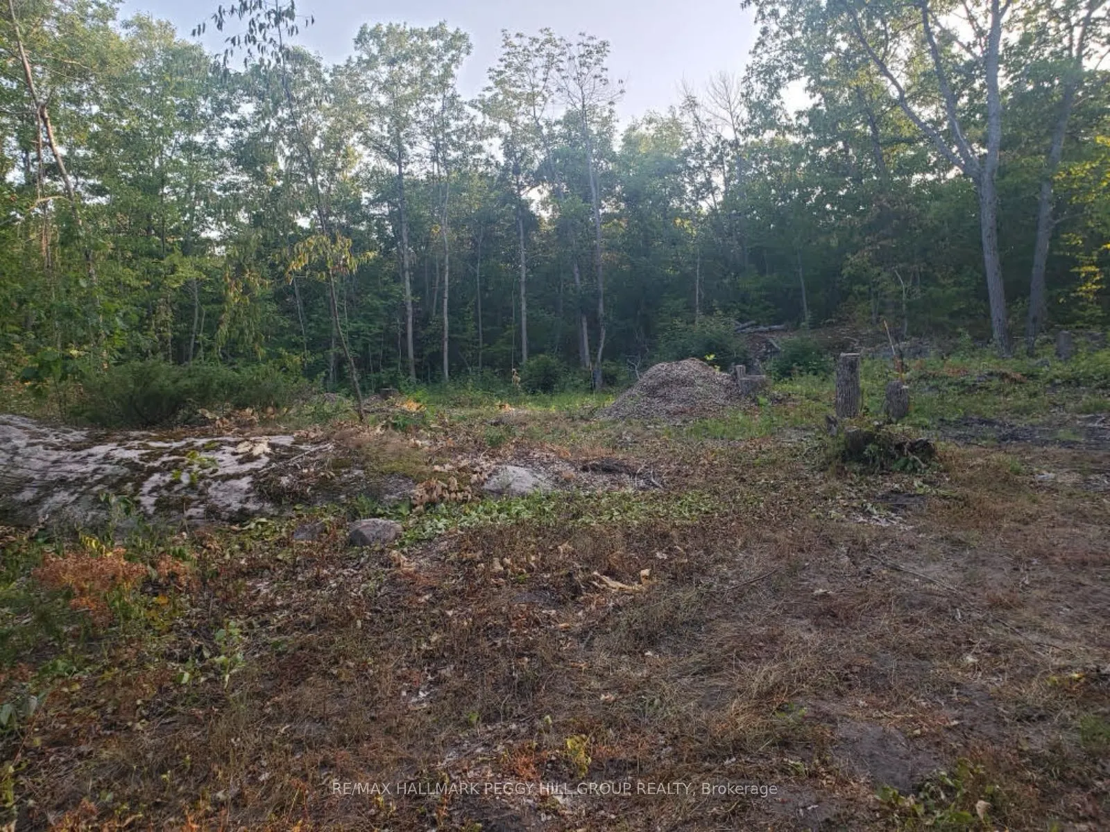 87 Lot A Corrievale Road