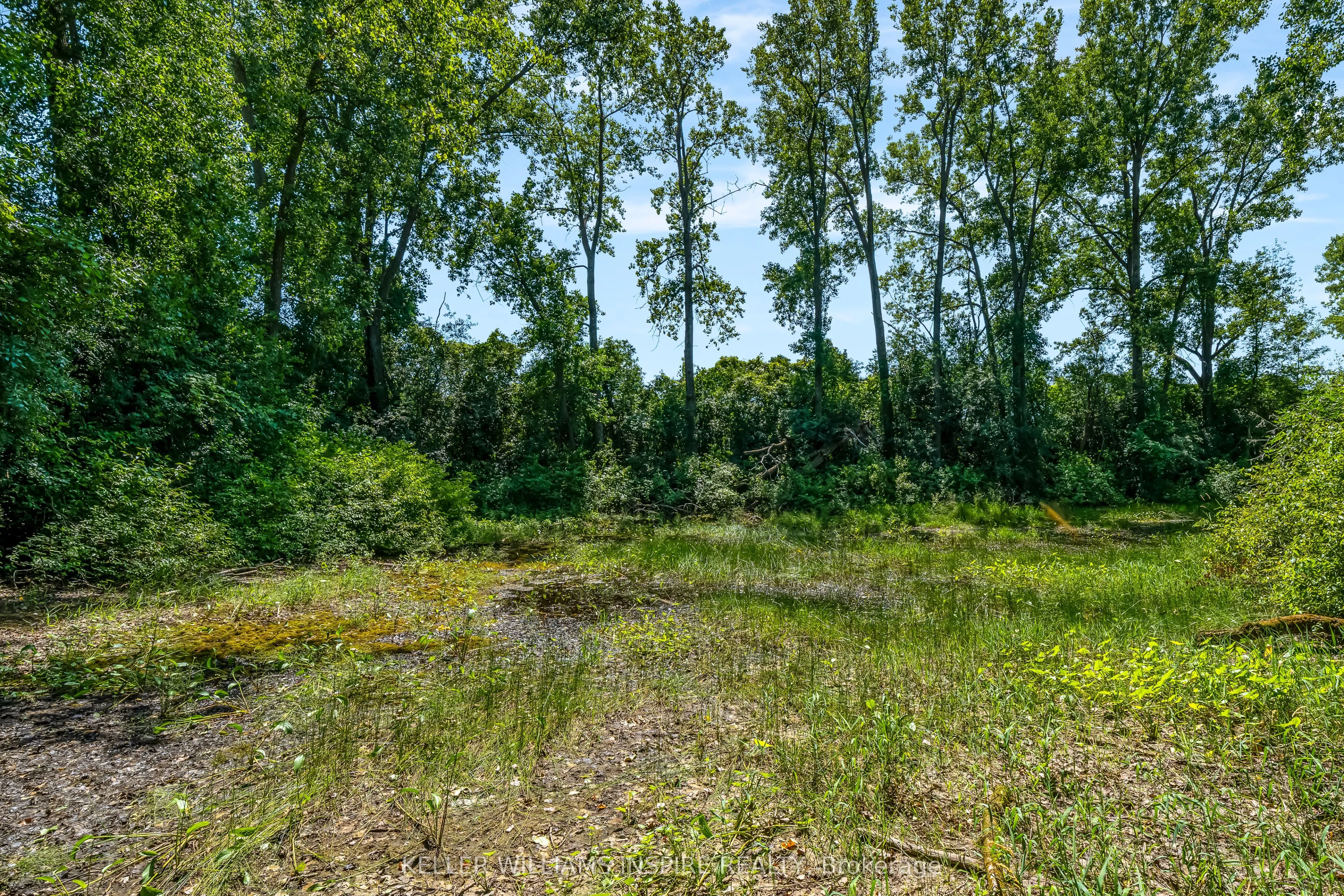 00 Loyalist Parkway
