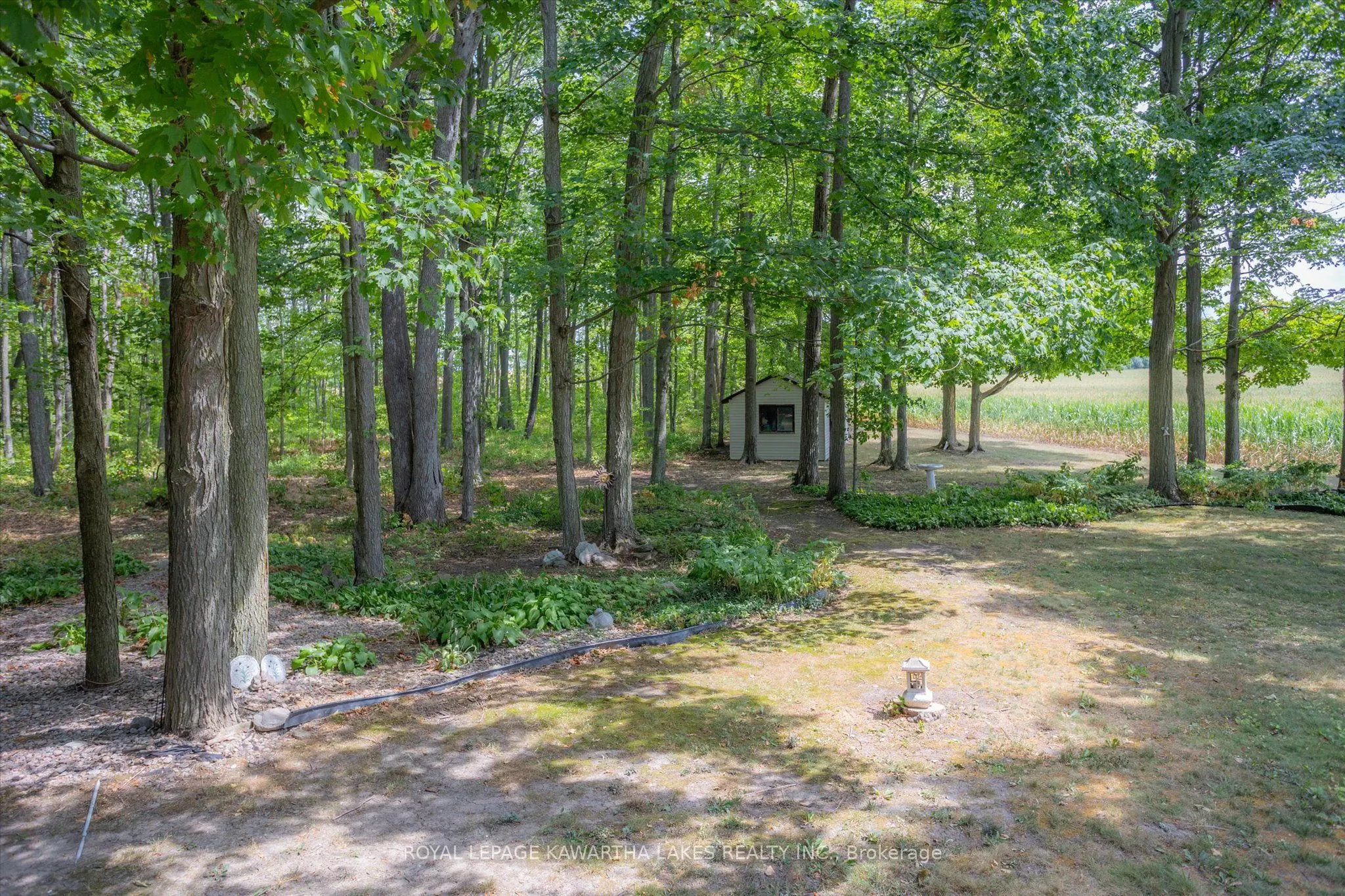 1928 Elm Tree Road