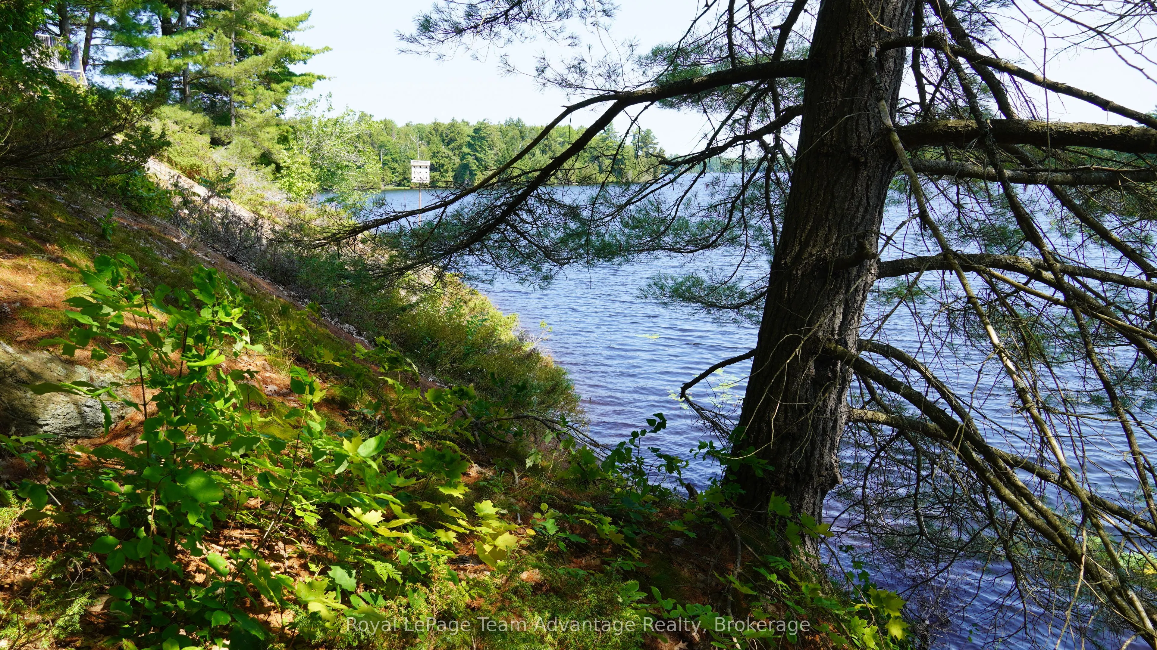 25 Peninsula Shore Road E