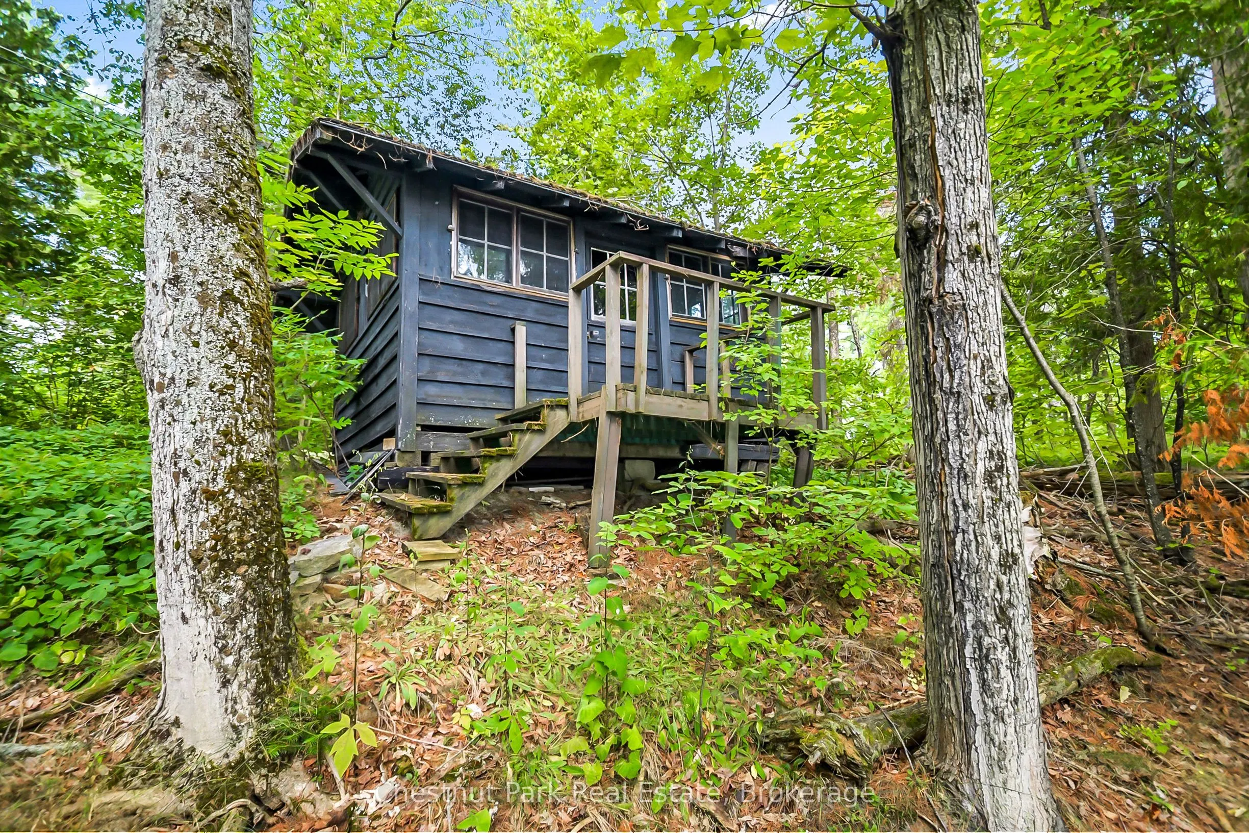 4 Hills Island
