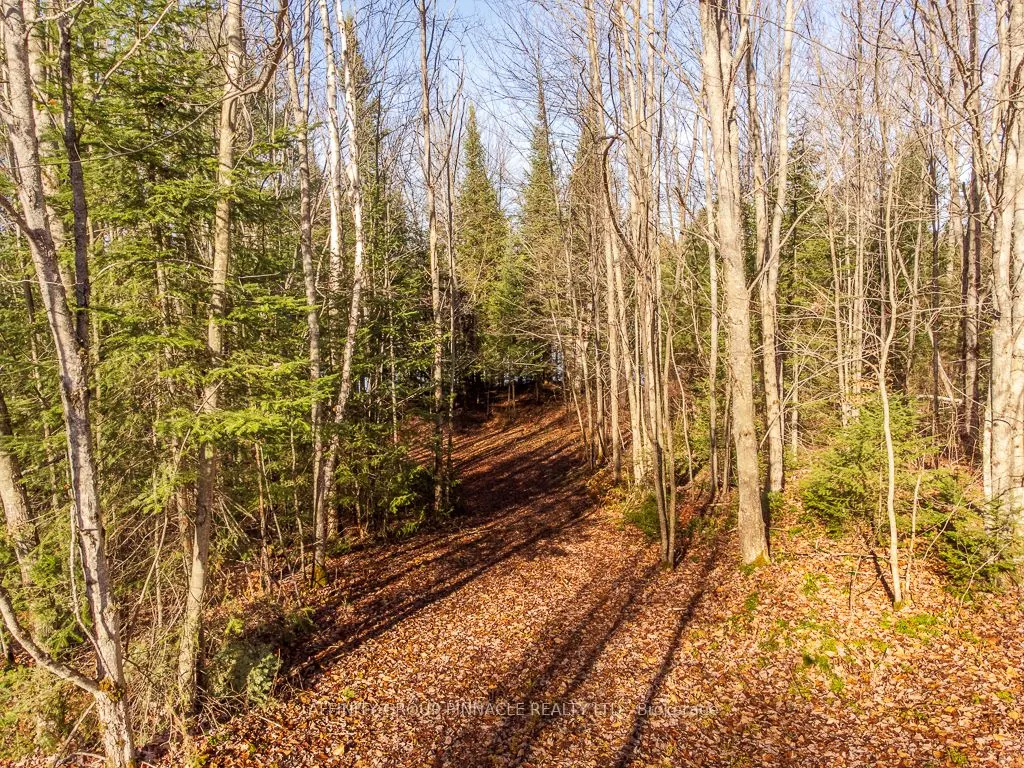 Lot 7 Comfort Drive