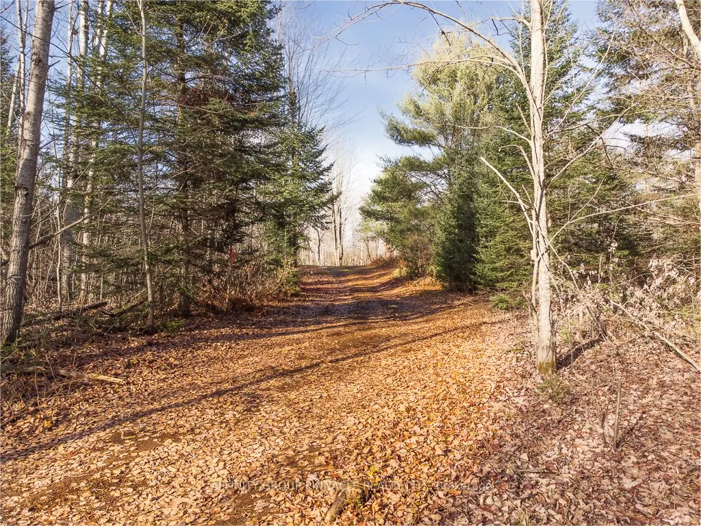 Lot 8 Comfort Drive