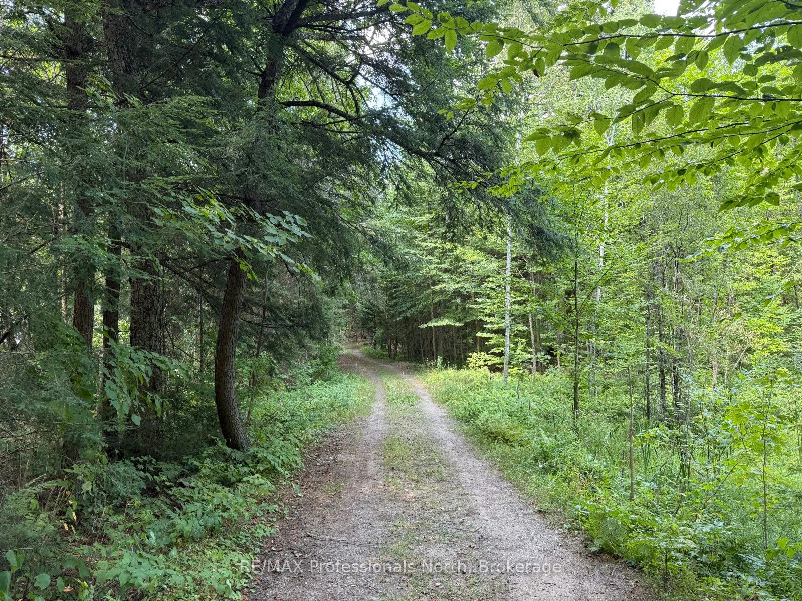 2169 Fred Jones Road