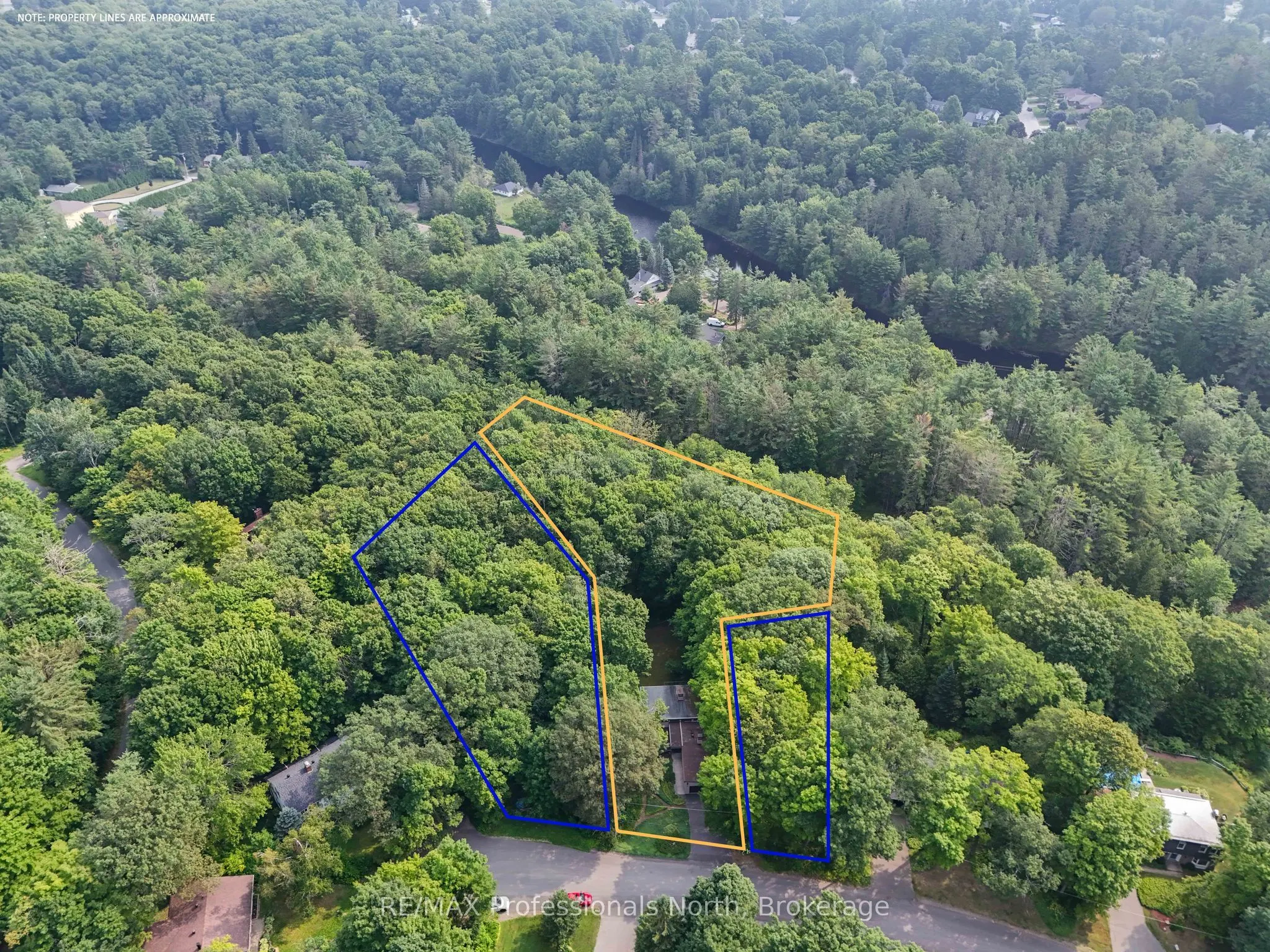 64 Woodland Drive