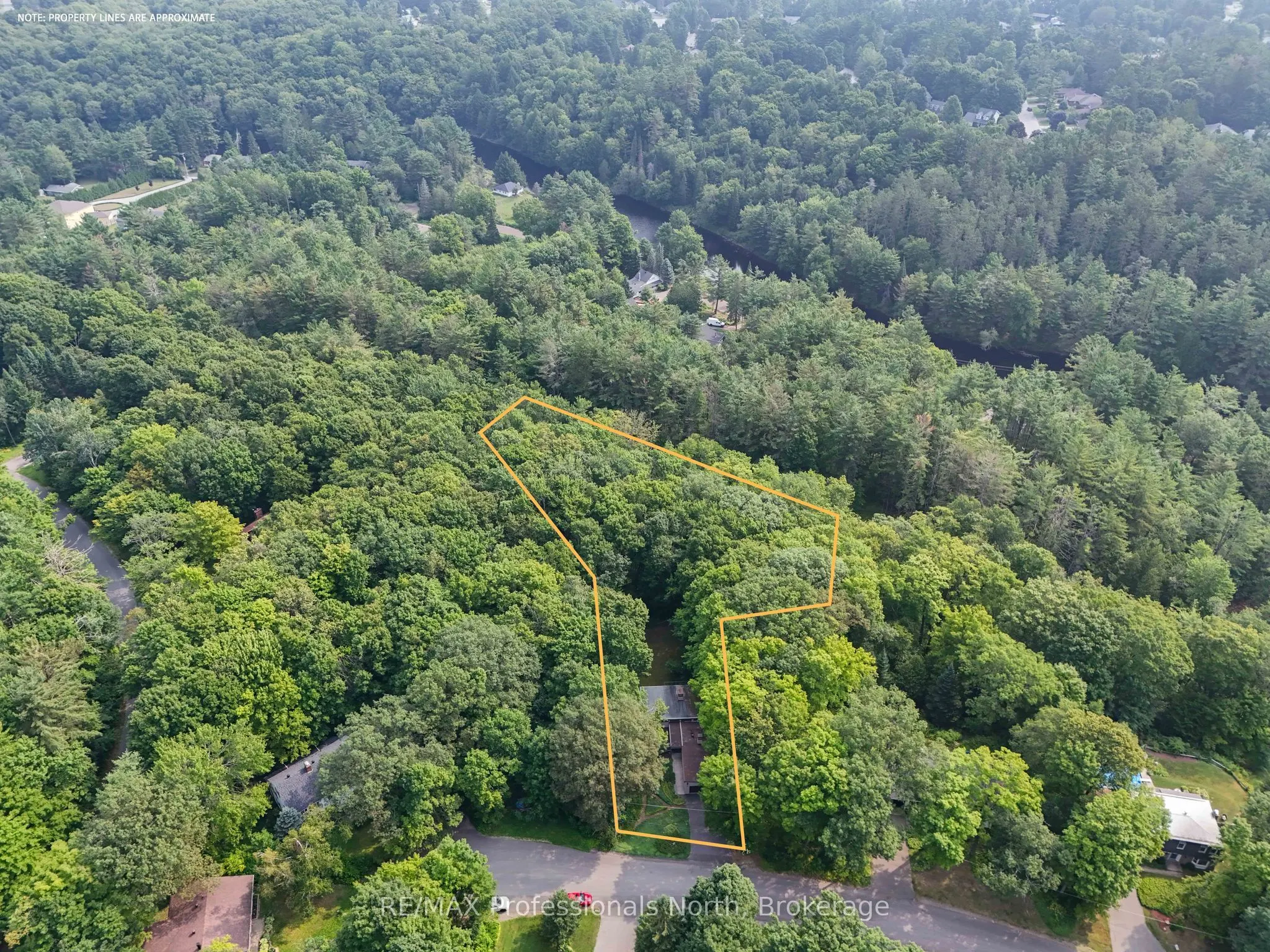 64 Woodland Drive