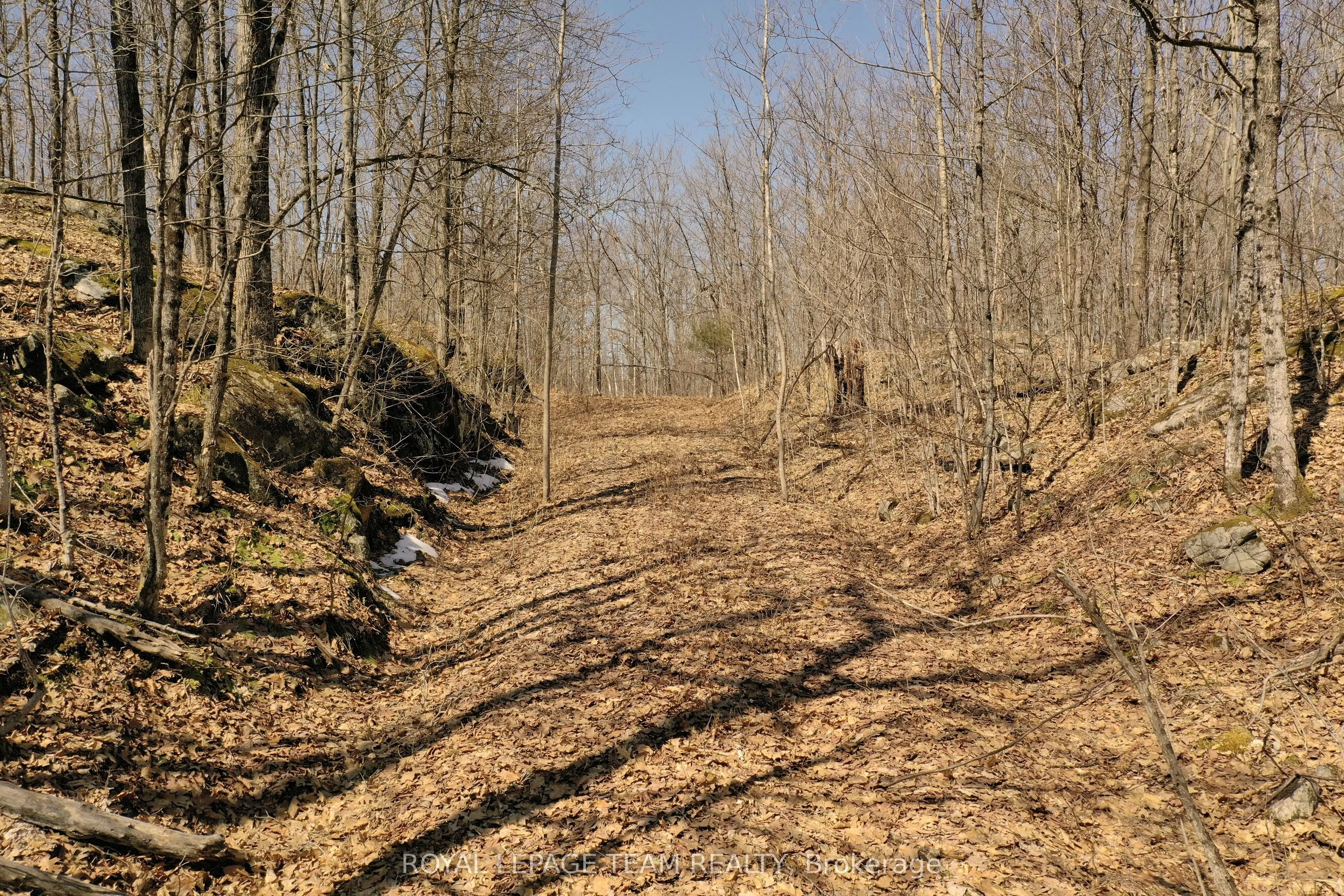 00 Maple Lane