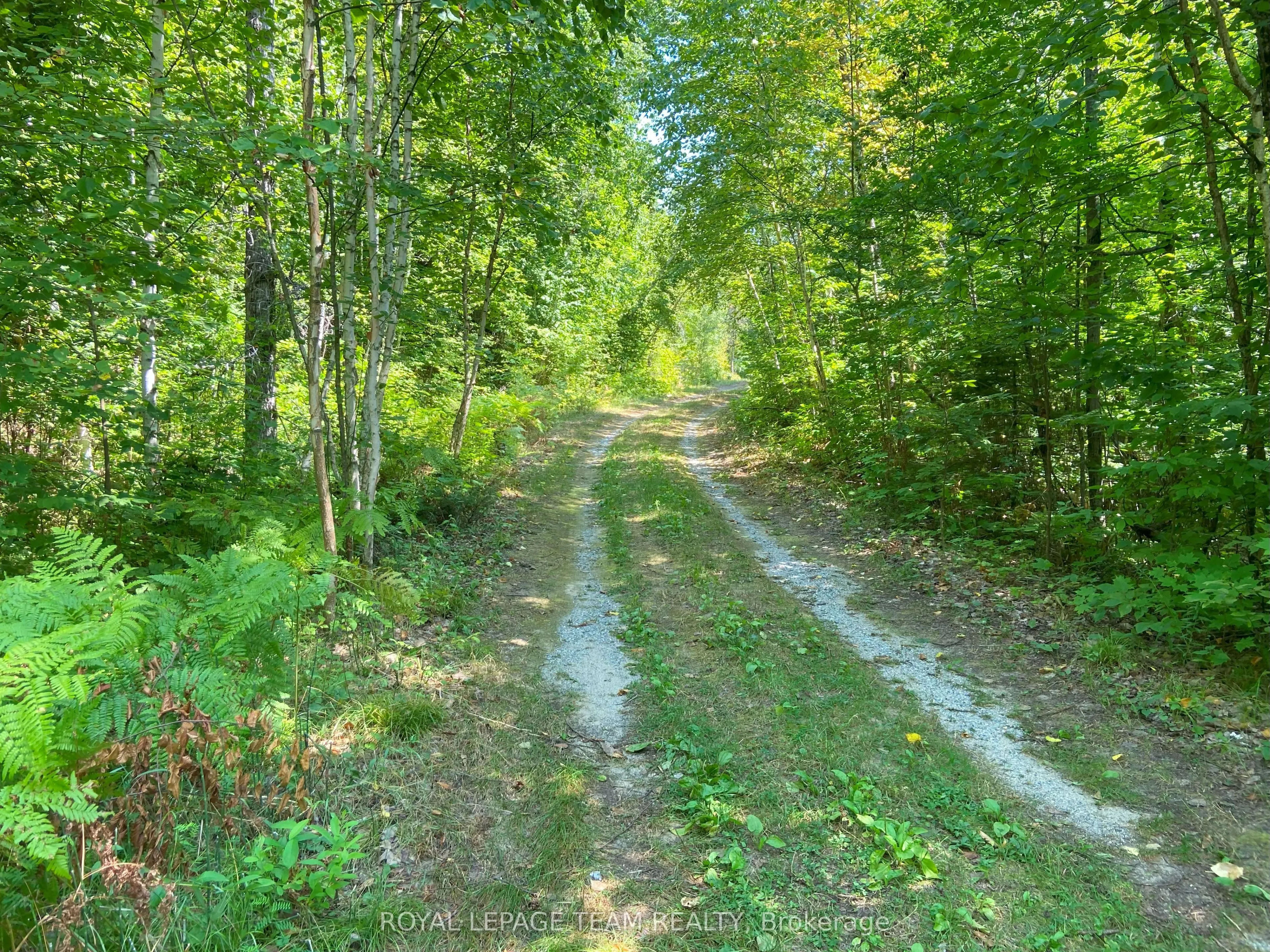 00 Maple Lane