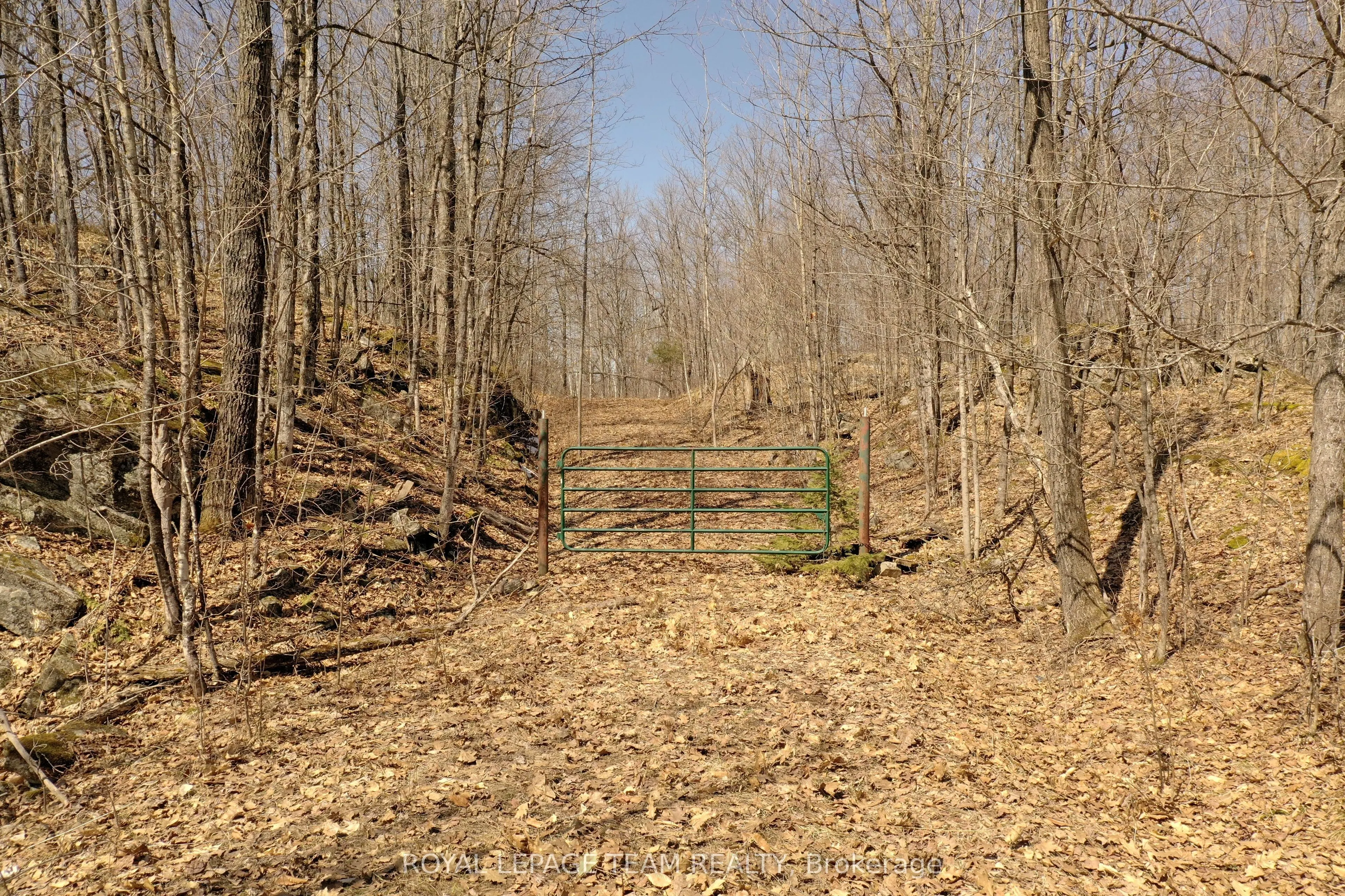 00 Maple Lane