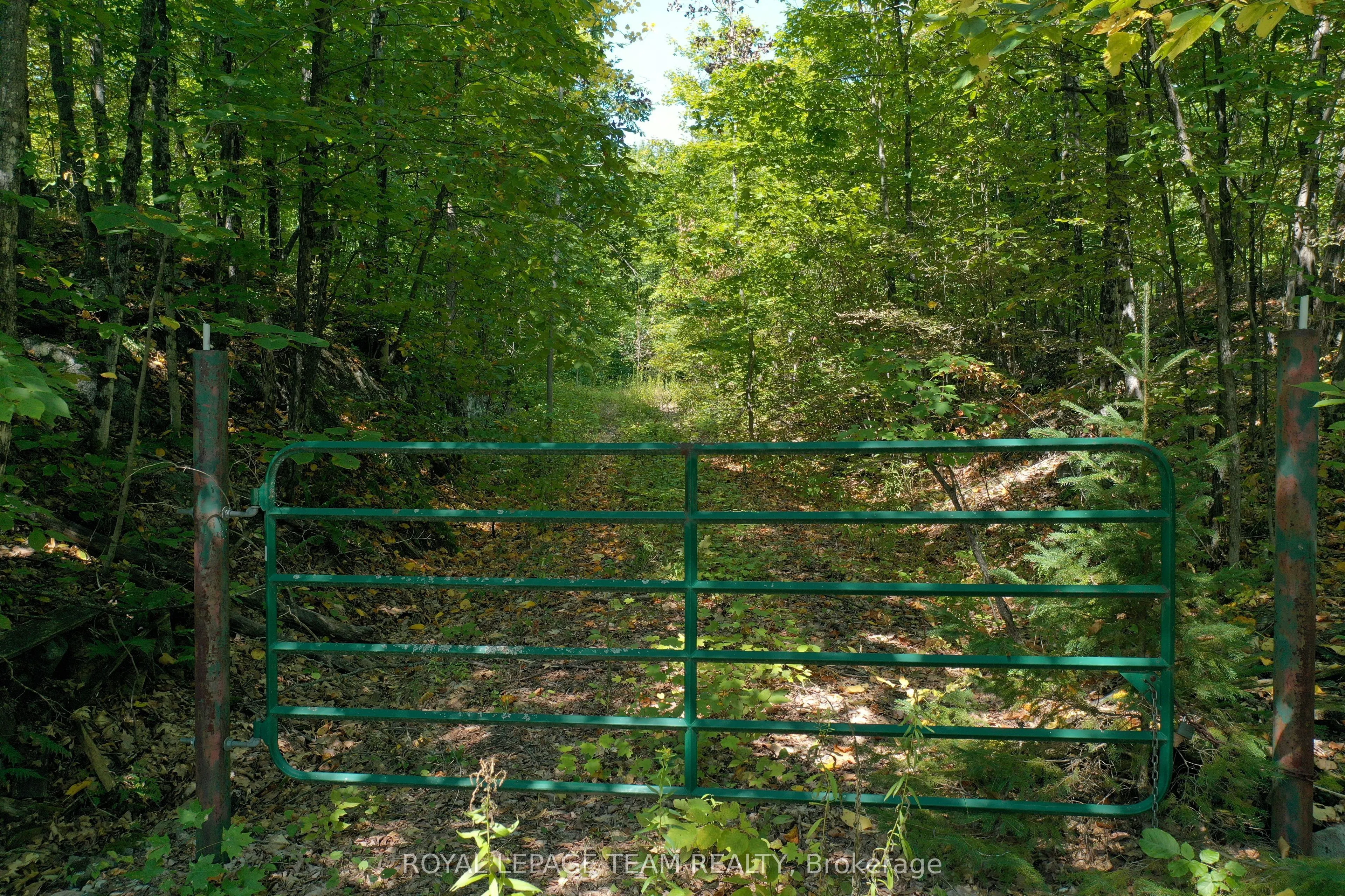 00 Maple Lane