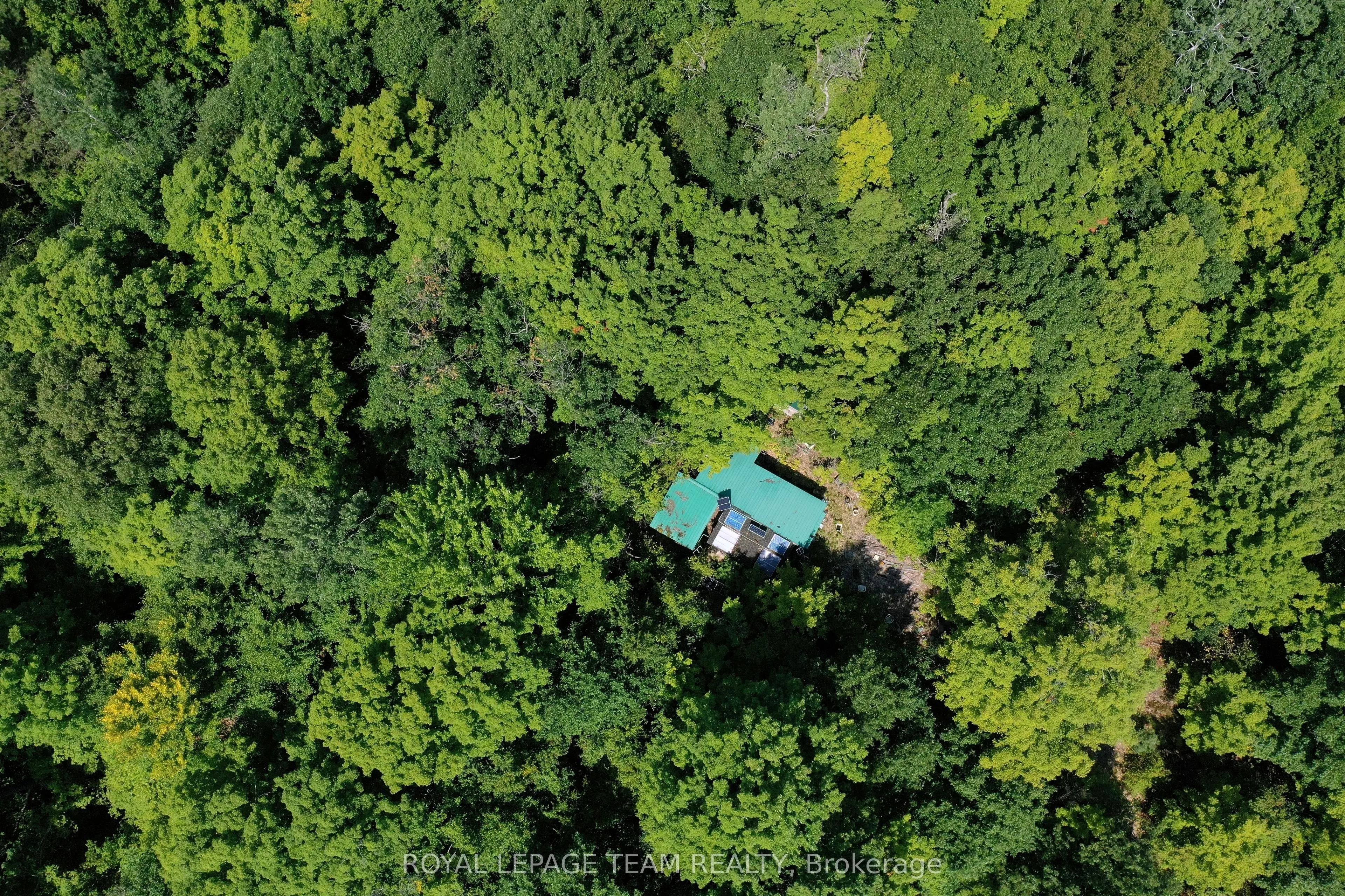 00 Maple Lane