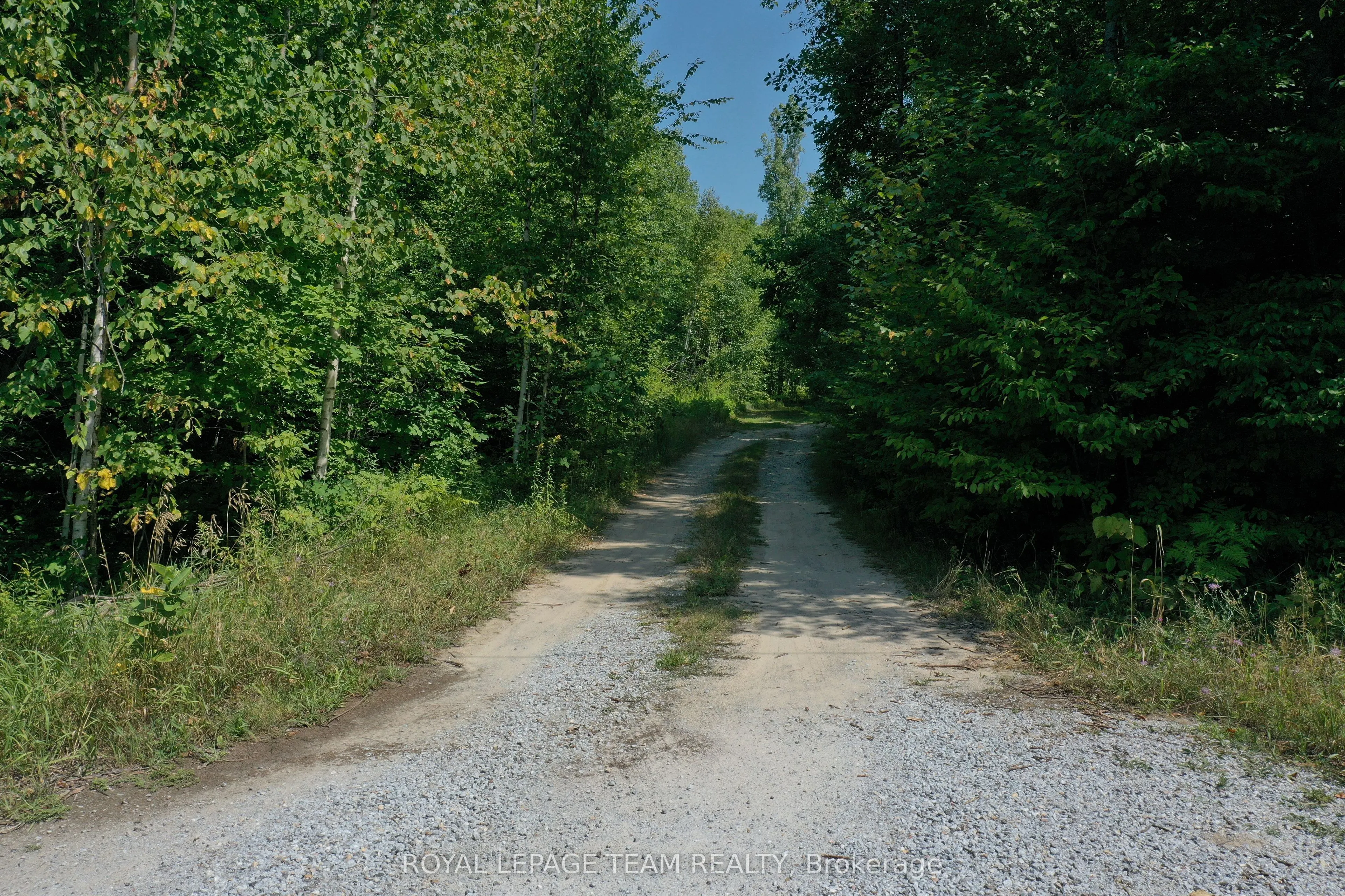 00 Maple Lane