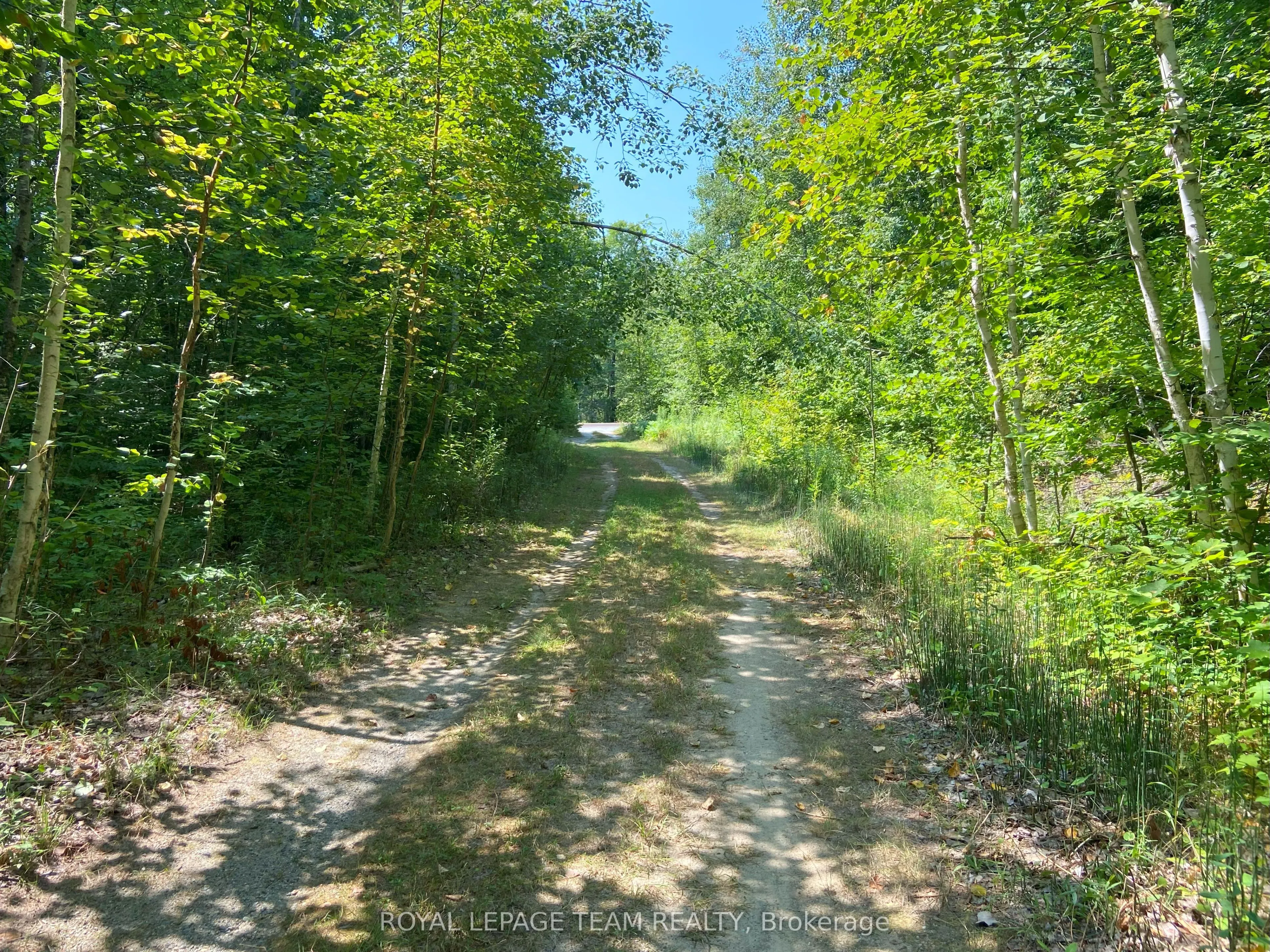 00 Maple Lane