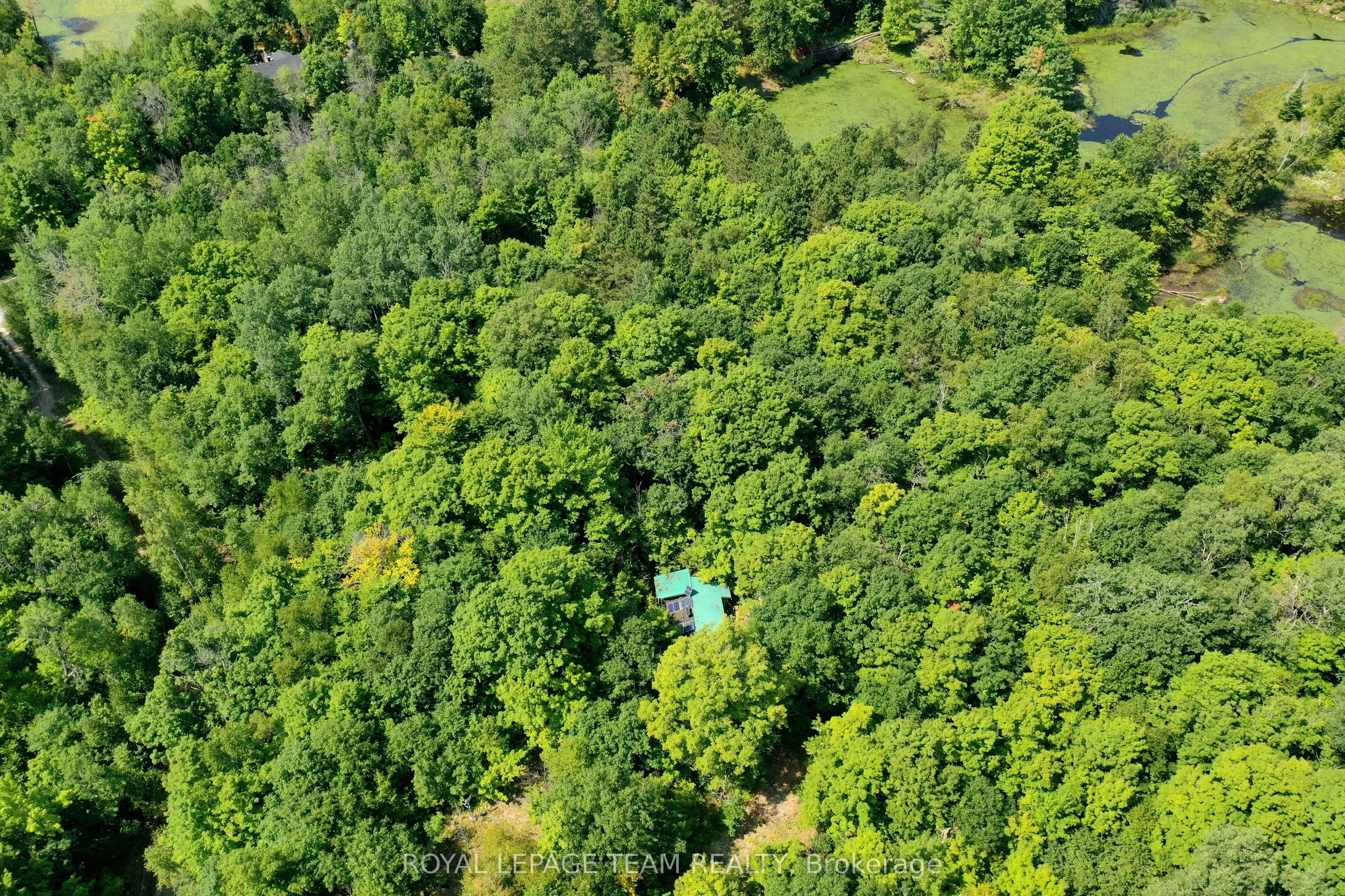 00 Maple Lane