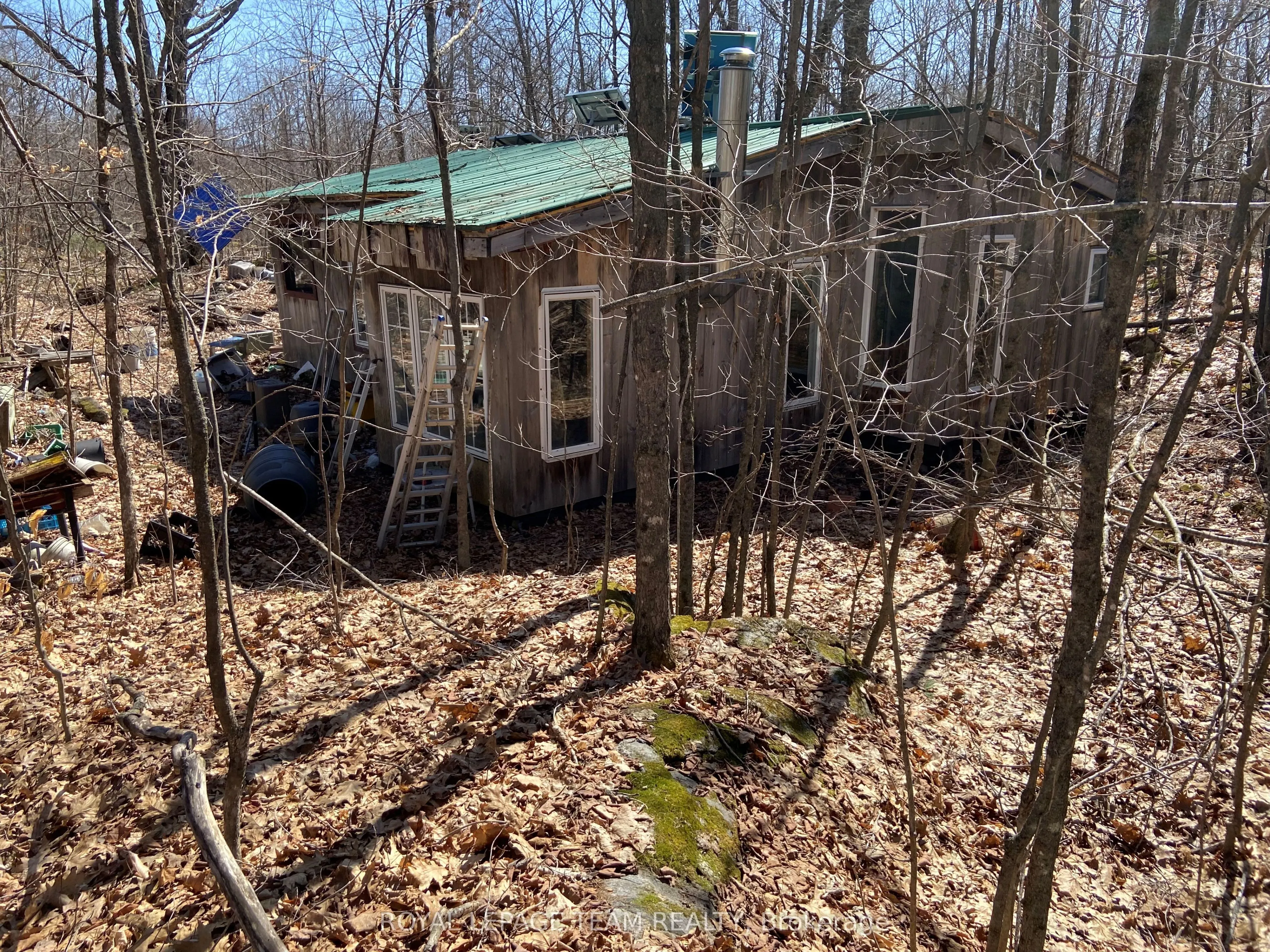 00 Maple Lane